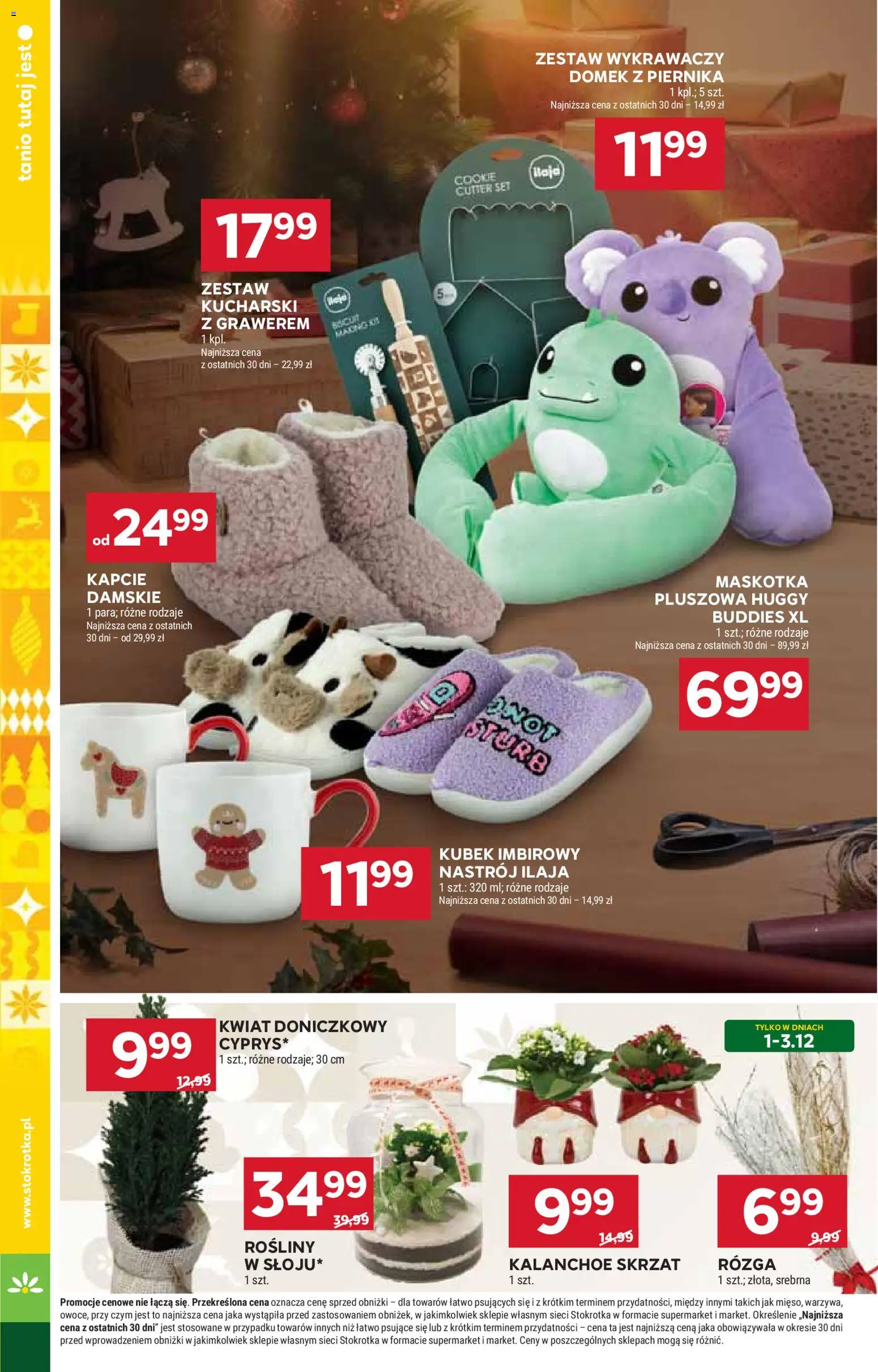 Stokrotka Gazetka - Market od 27.11.2025 | Strona: 24 | Produkty: Kapcie, Stokrotka, Rosliny, Kalanchoe