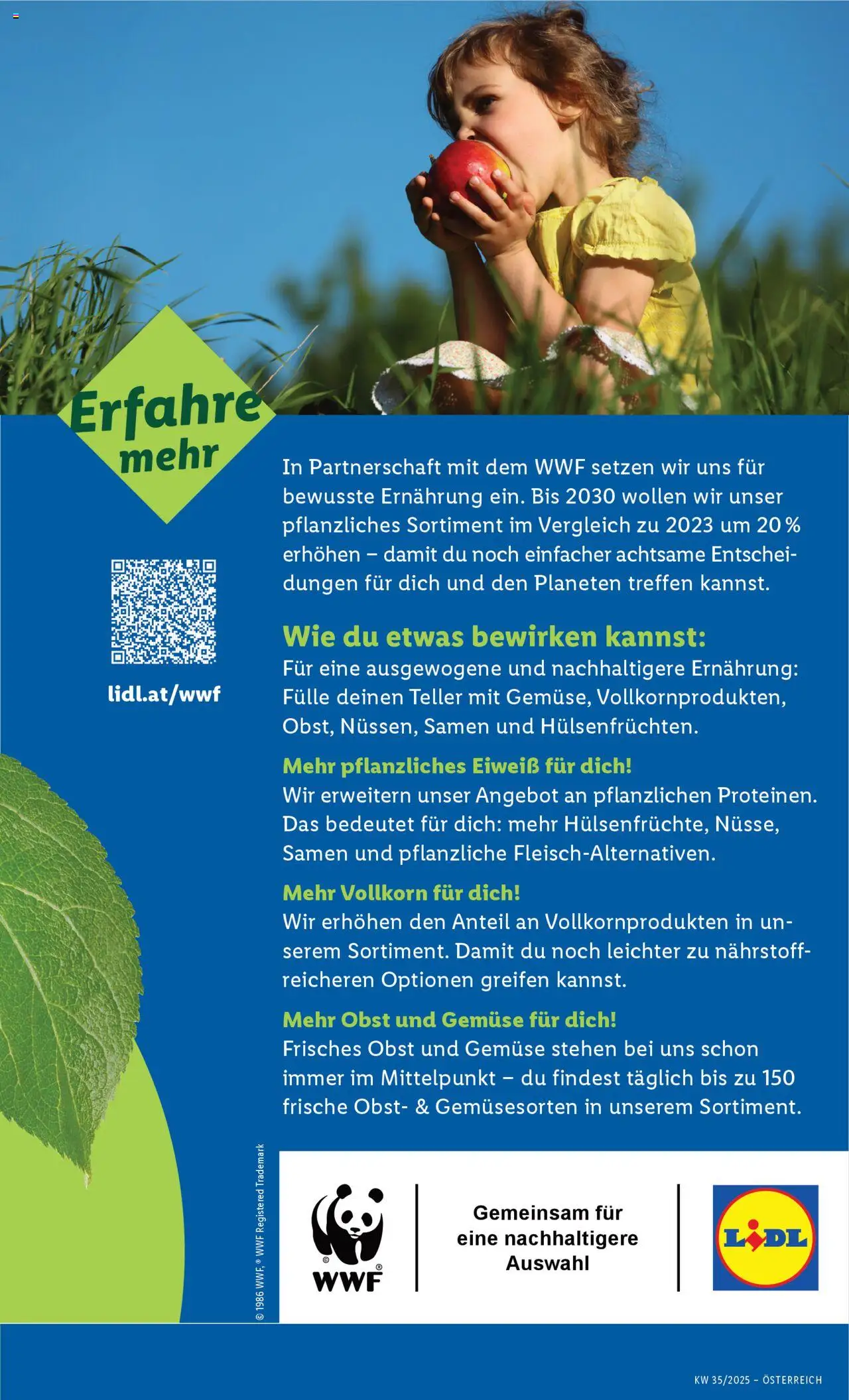 Lidl Flugblatt - Eisenstadt, Ebenfurth, Mattersburg gültig ab 28.08.2025 | Seite: 47 | Produkte: Gemüse, Obst
