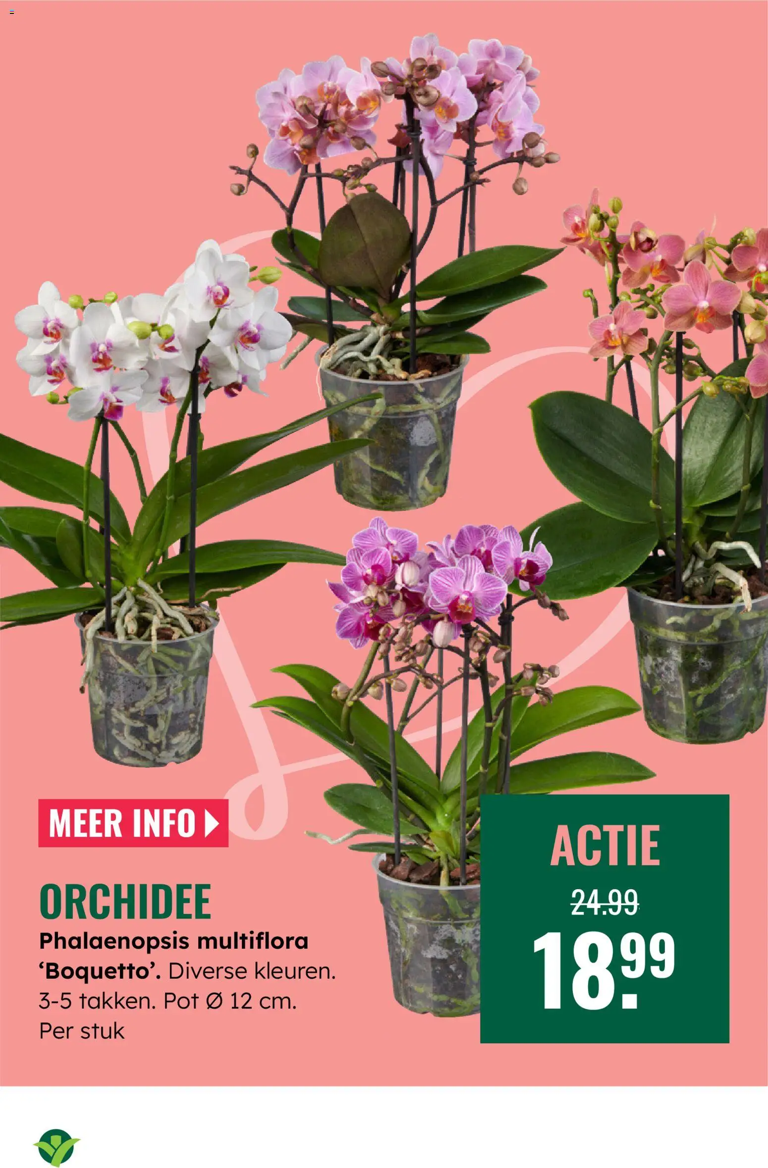 {H1} | Pagina: 17 | Producten: Pot