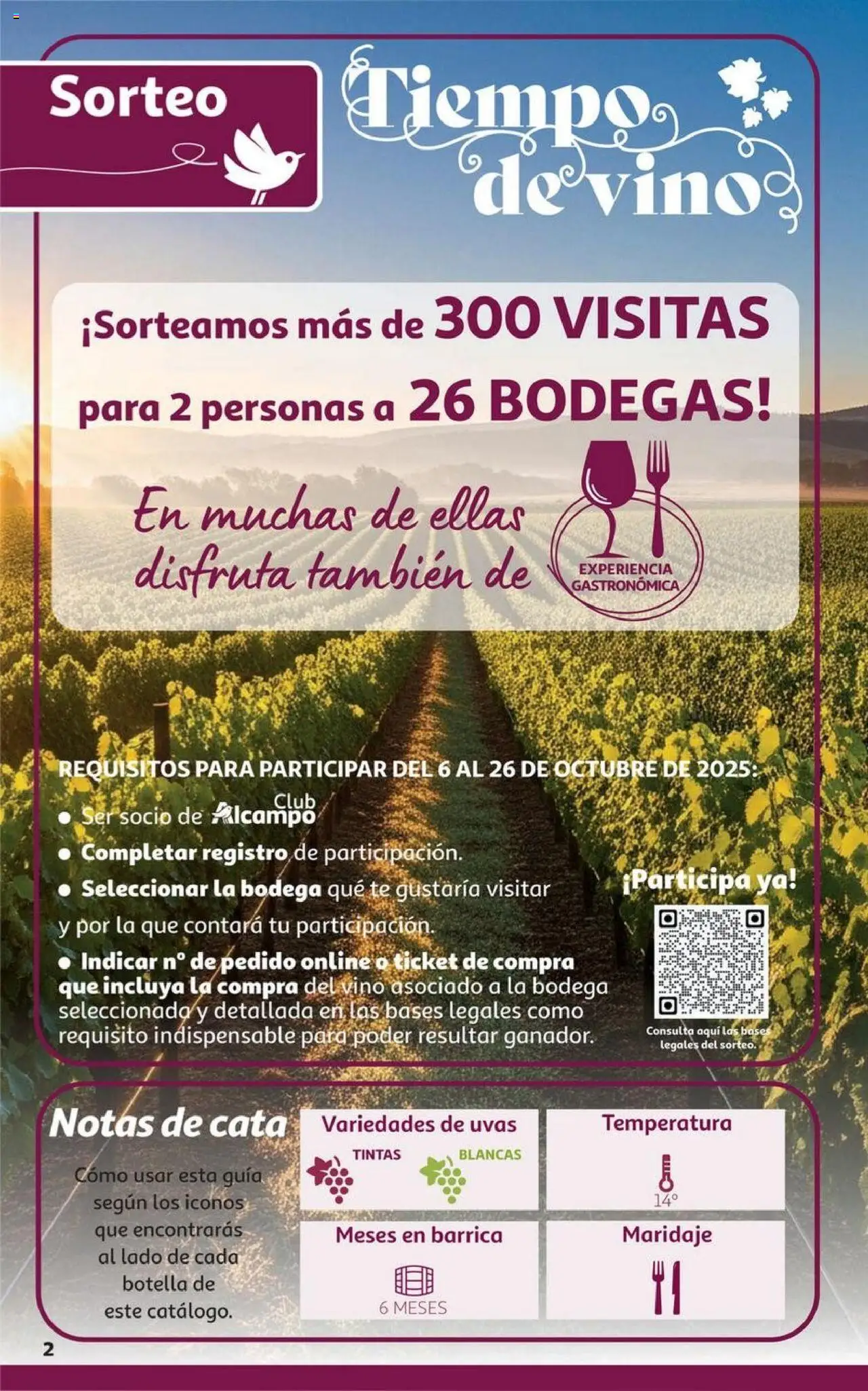 Alcampo - HG Castilla Mancha │ válido desde el 06.10.2025 | Página: 2 | Productos: Τζίντζερ, Vino, Té