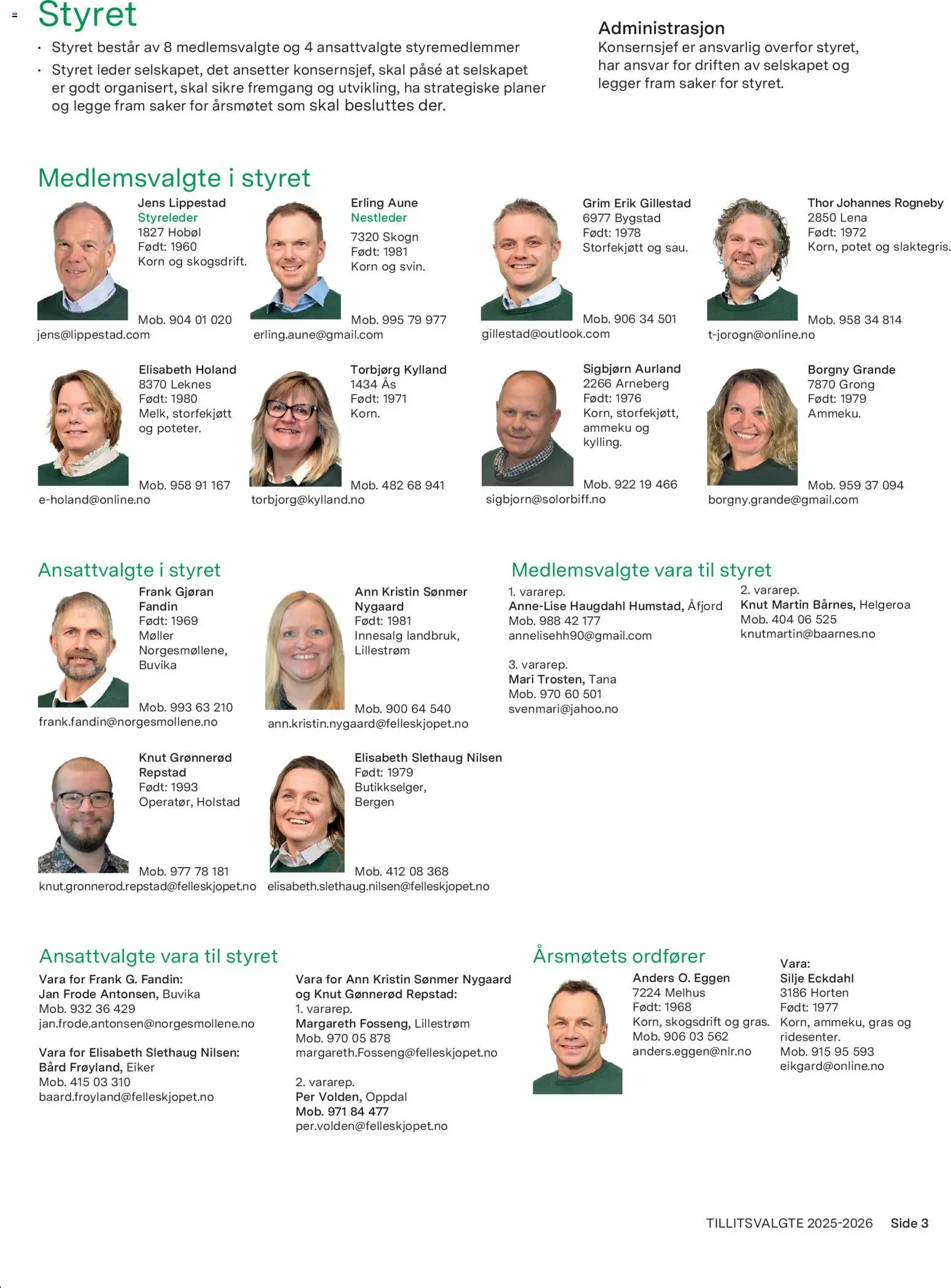 {H1} | Side: 3 | Produkter: Lumini decorative