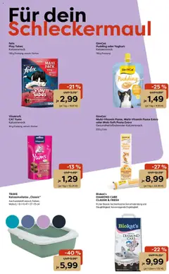Zoo & co Prospekt 	 - gültig ab dem 28.07.2025 | Seite: 4 | Produkte: Pudding