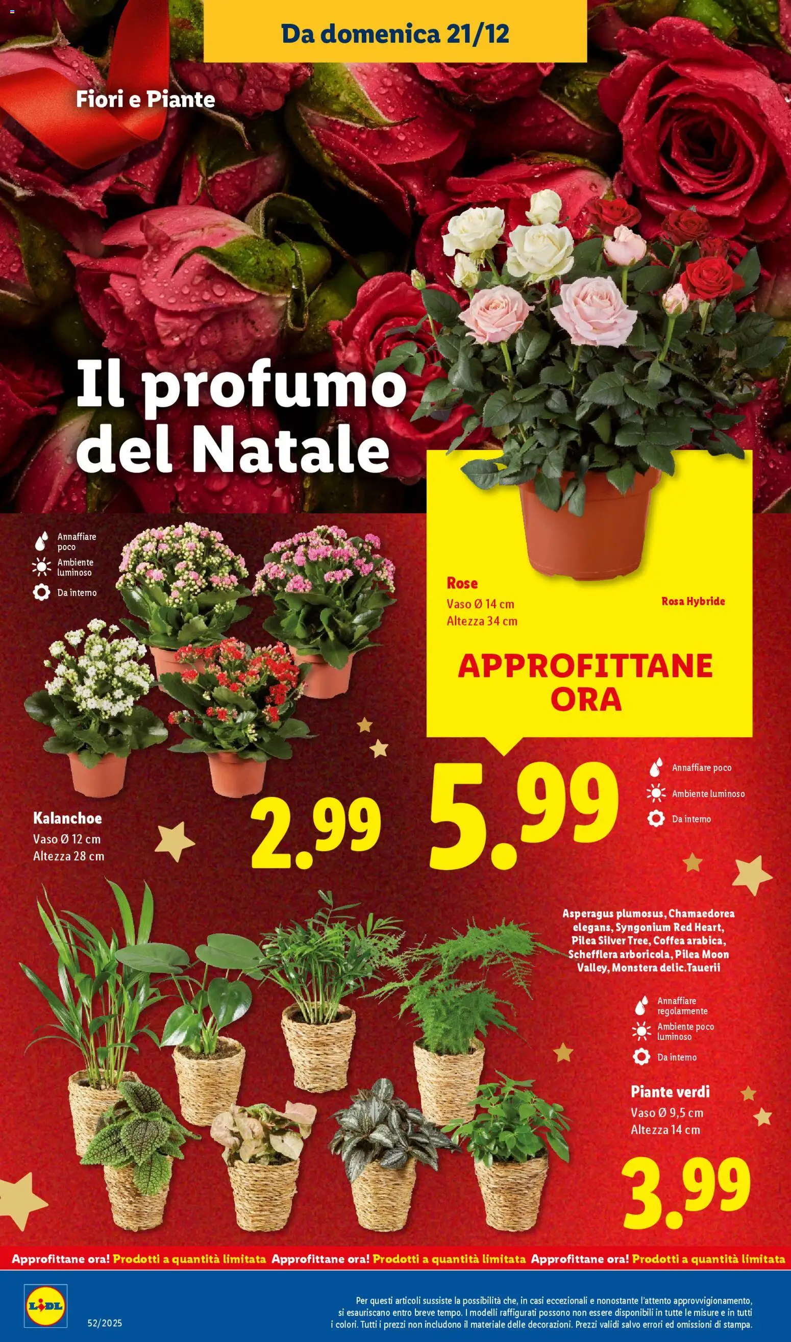 Volantino Lidl del 21.12.2025 | Pagina: 40 | Prodotti: Vaso, Profumo