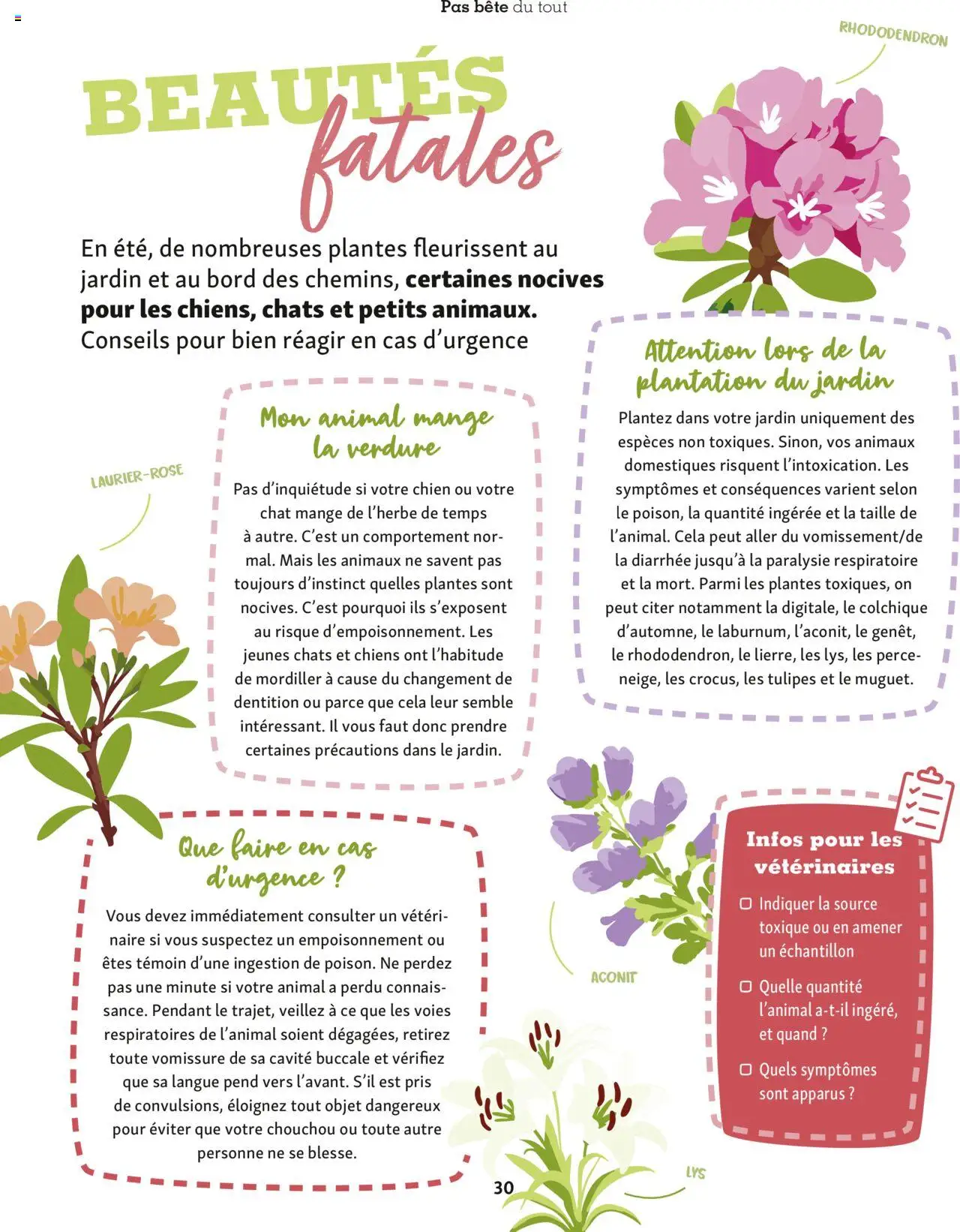  | Page: 30 | Produits: Rhododendron, Plantes, Chouchou, Tulipes