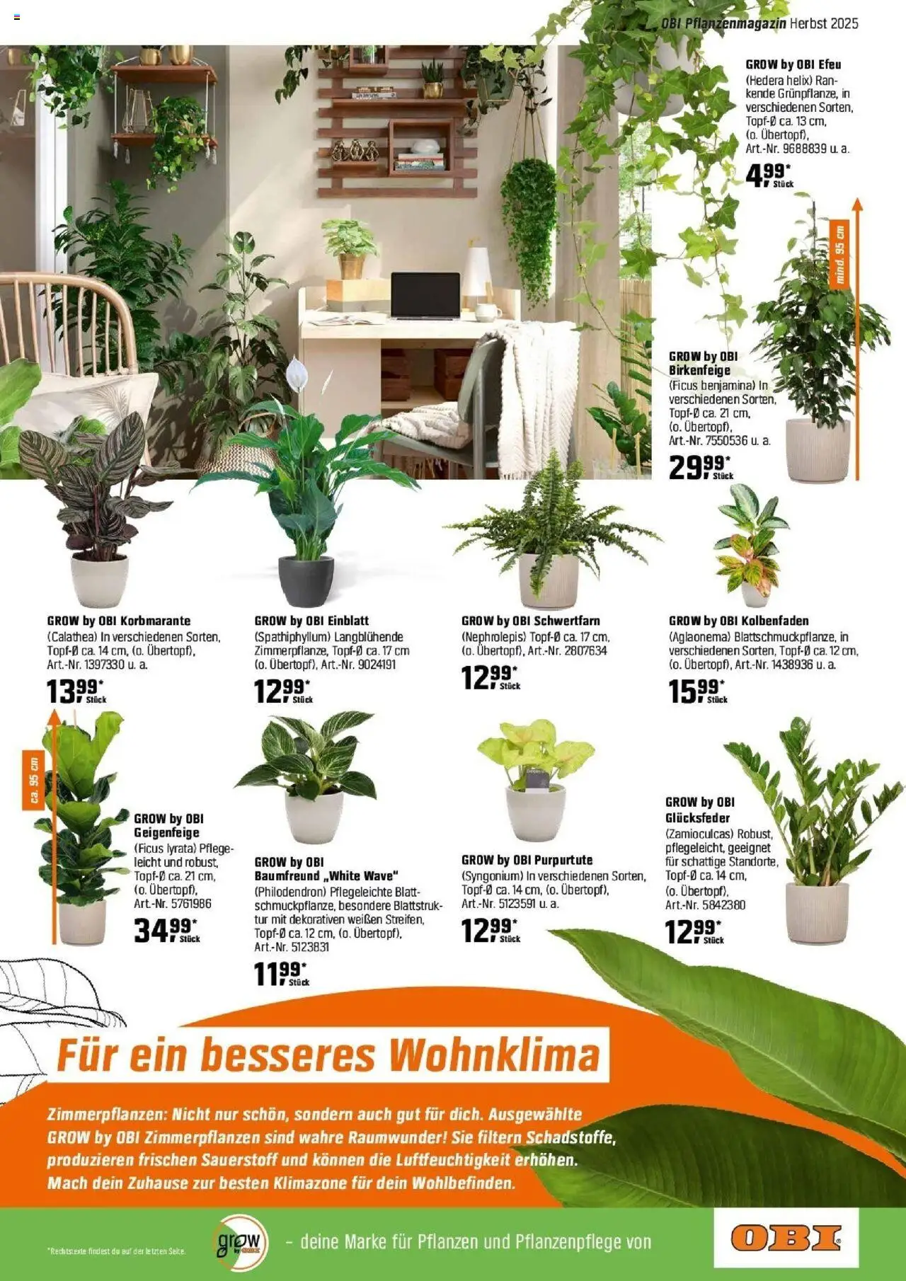 Obi Herbstgartenmagazin – gültig ab 01.09.2025 | Seite: 19 | Produkte: Tür