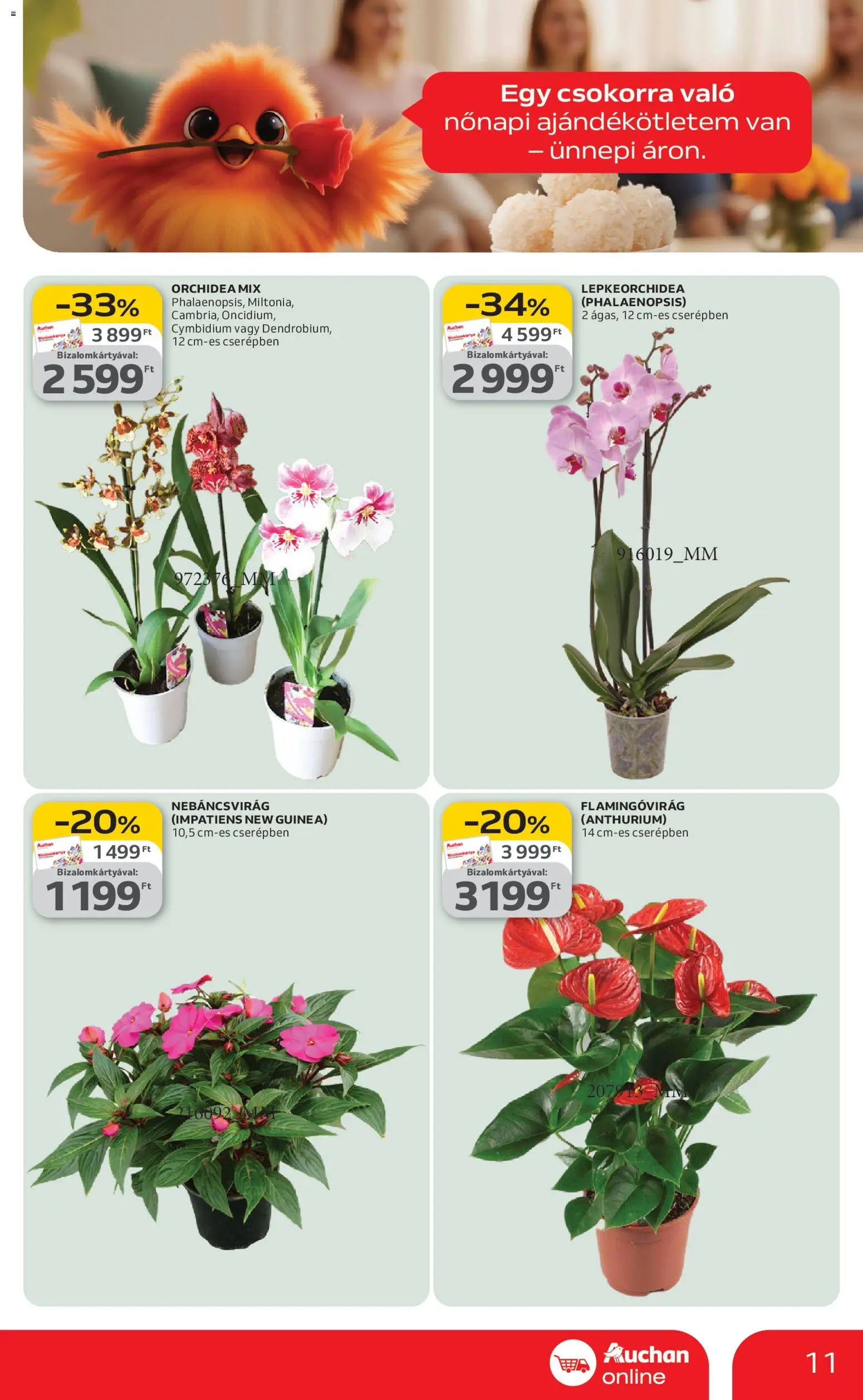Auchan akciós ujság - amely érvényes a következő dátumtól: 05.03.2026 | Oldal: 11 | Termékek: Orchidea