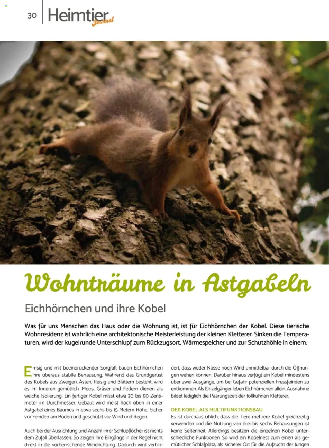 zookauf Heimtier Journal – gültig ab 01.10.2025 | Seite: 30