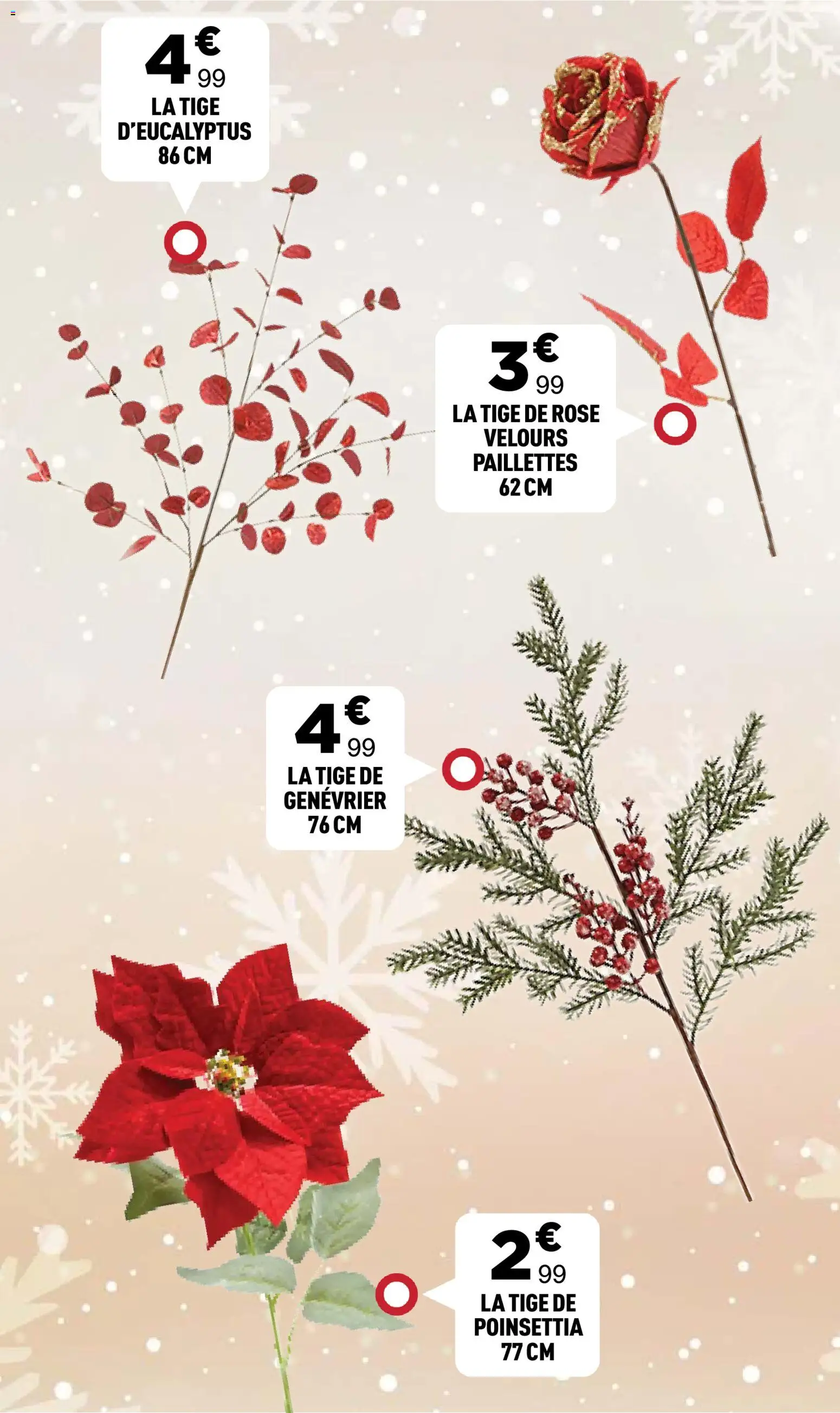 {H1} | Page: 5 | Produits: Poinsettia