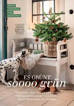 Dehner  Flugblatt ab 10.10.2025 gültig | Seite: 62 | Produkte: Korb