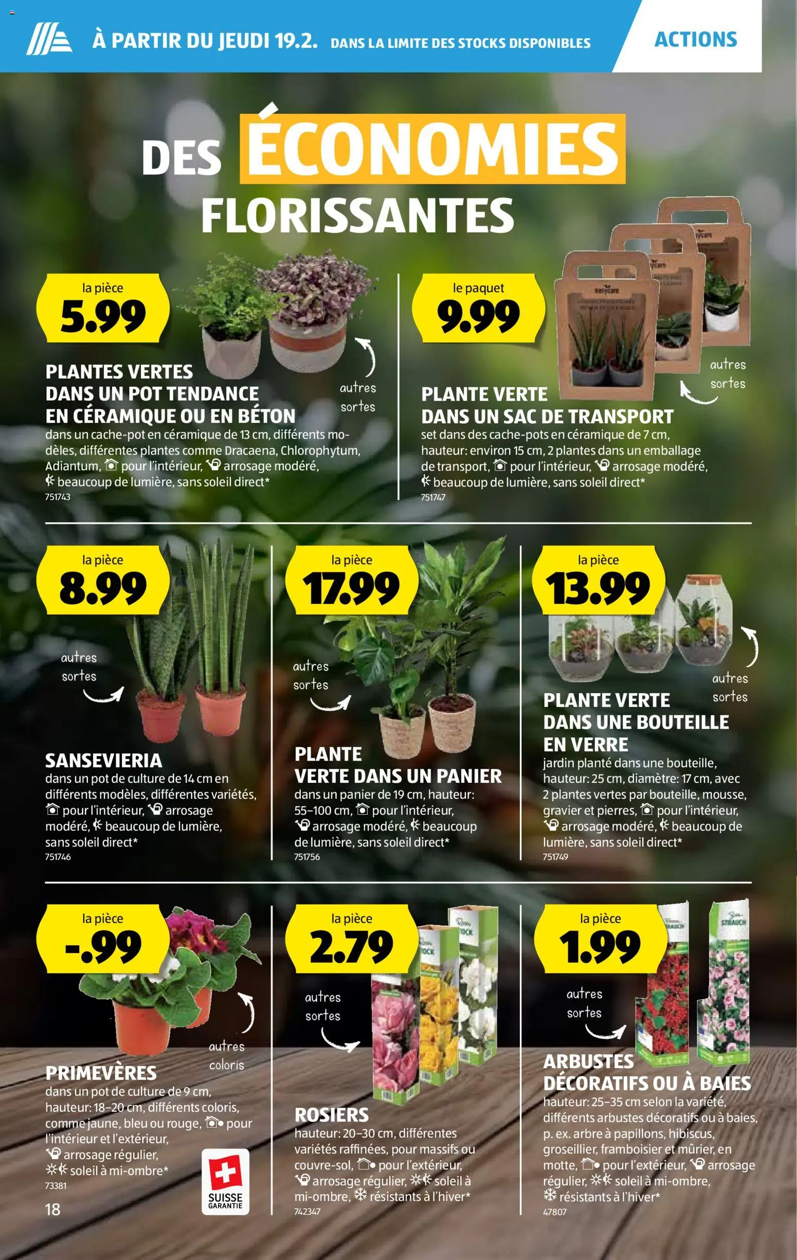 Aldi Aktionen FR – gültig ab 19.02.2026 | Seite: 19