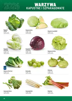 Pogląd oferty "Makro Gazetka - Ultra fresh" - ważna od 01.03.2026 | Strona: 28 | Produkty: Kapusta, Kapusta pekińska, Szparagi, Kapusta biała