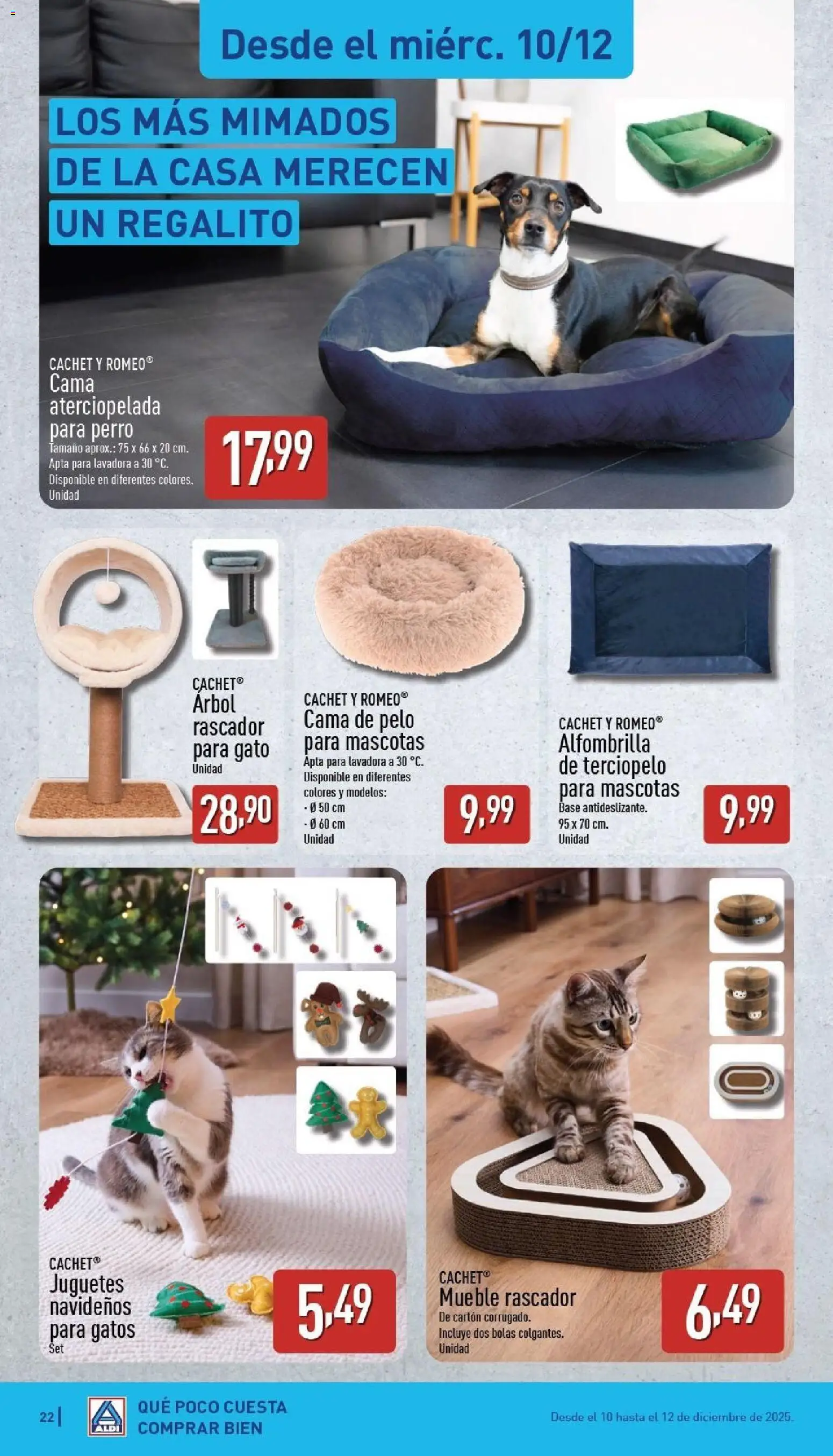 Aldi folleto Baleares │ válido desde el 08.12.2025 | Página: 22