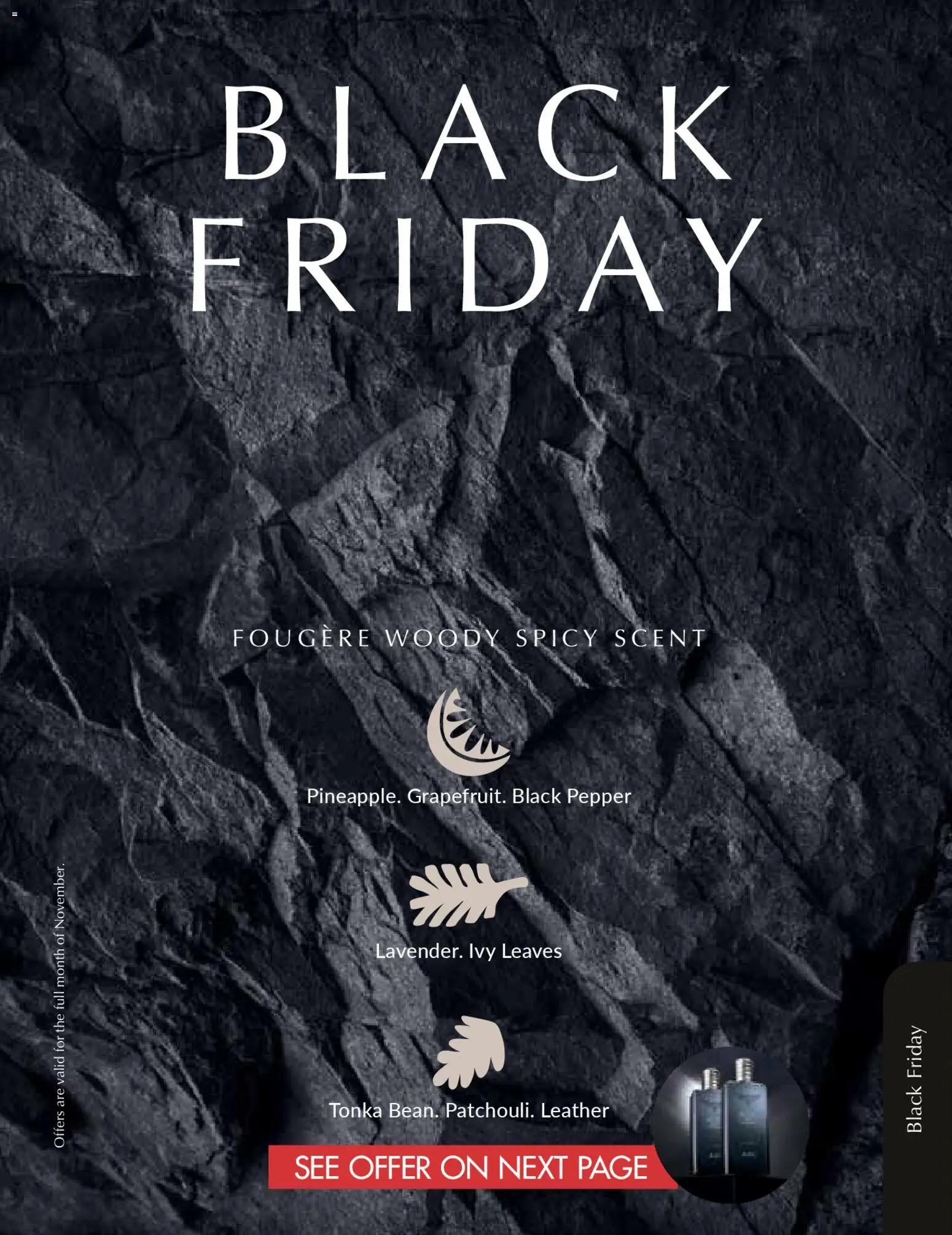 New Justine catalogue – valid from 01.11.2025 | Page: 101