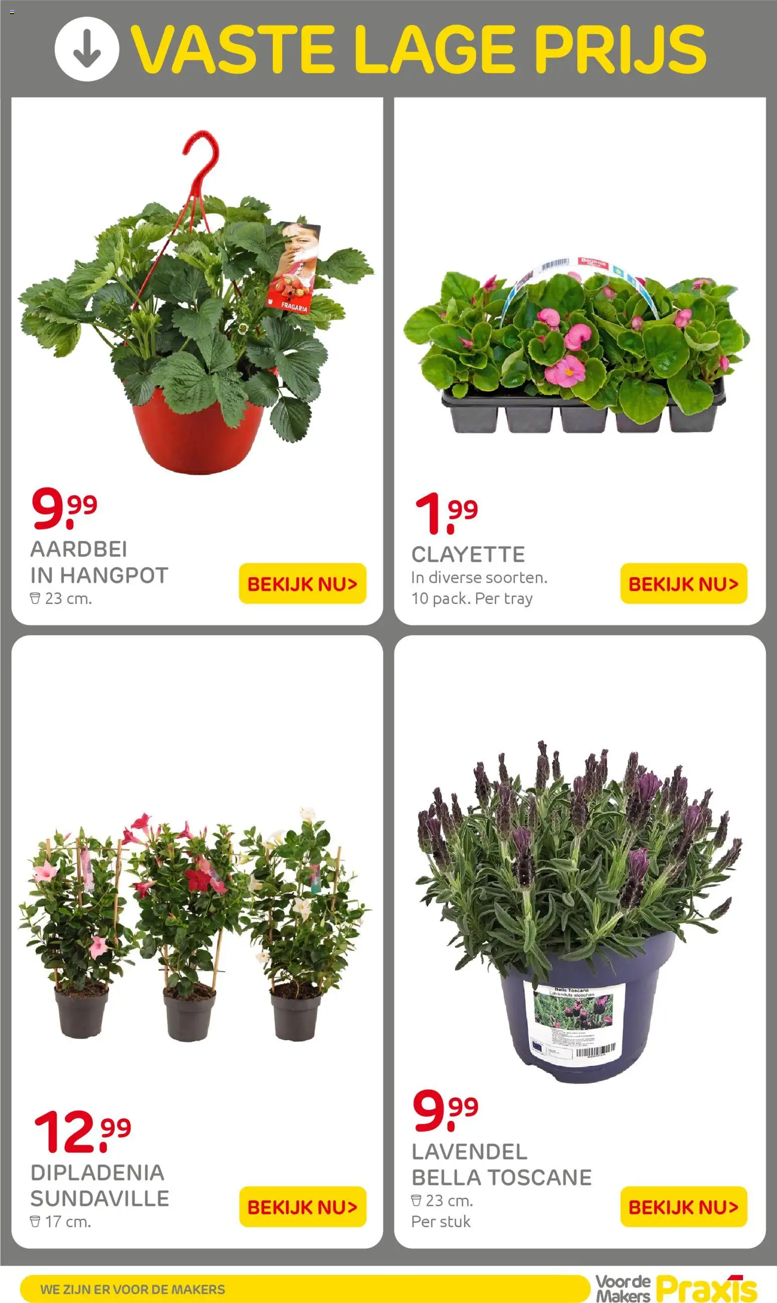 {H1} | Pagina: 37 | Producten: Aardbei