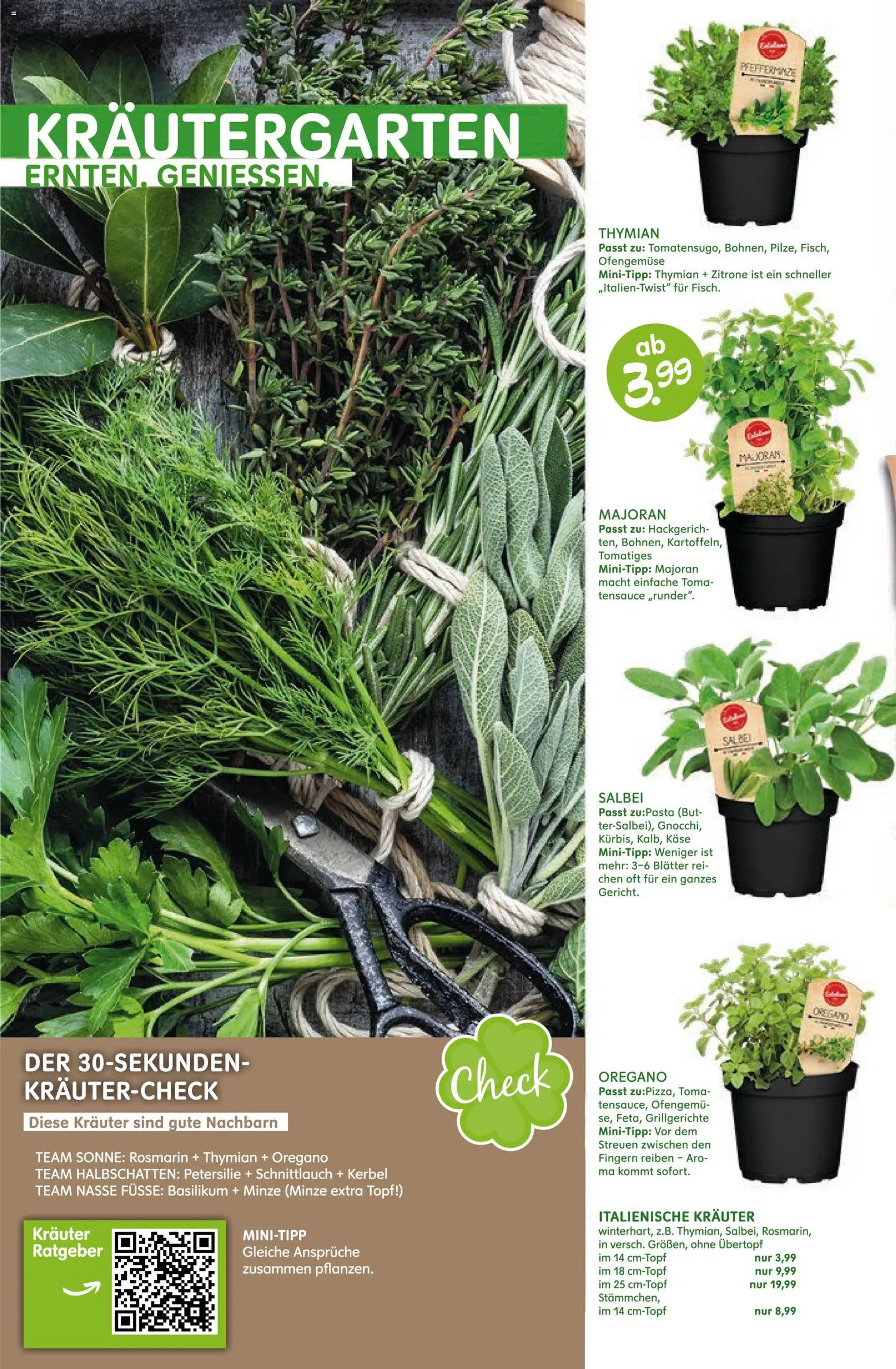 Blumen Risse Prospekt gartencenter – gültig ab 12.03.2026 | Seite: 2 | Produkte: Käse, Zitrone, Petersilie