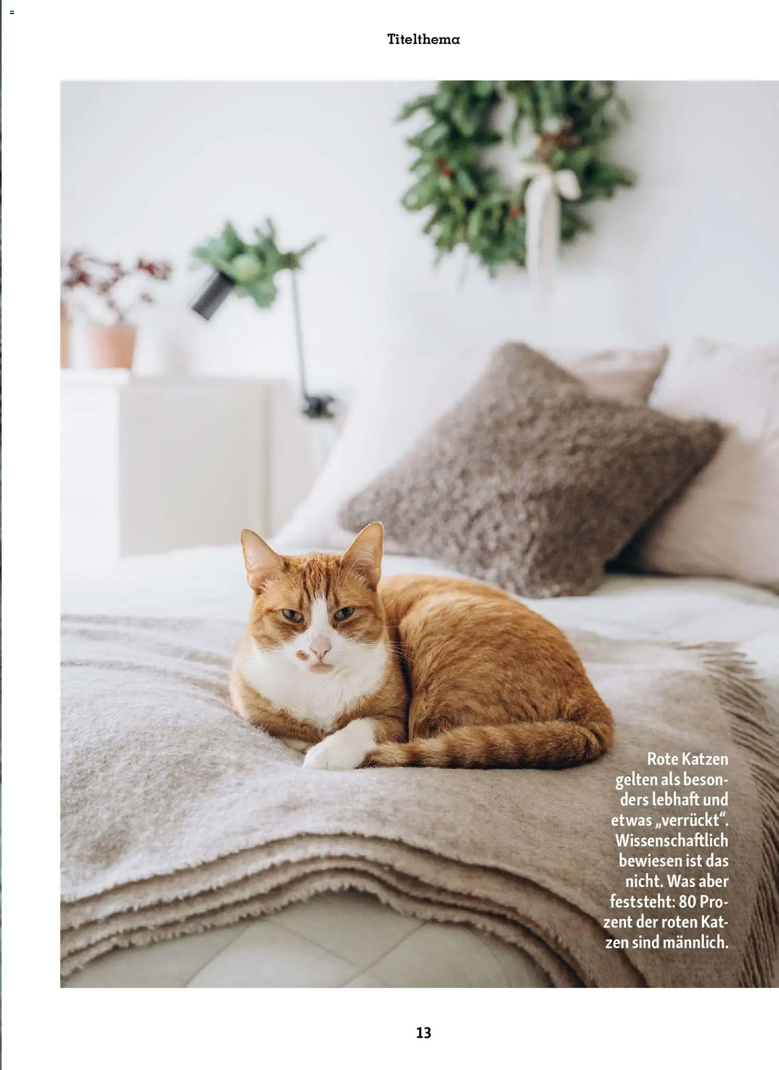 Fressnapf Friends Magazin – gültig ab 01.11.2025 | Seite: 13