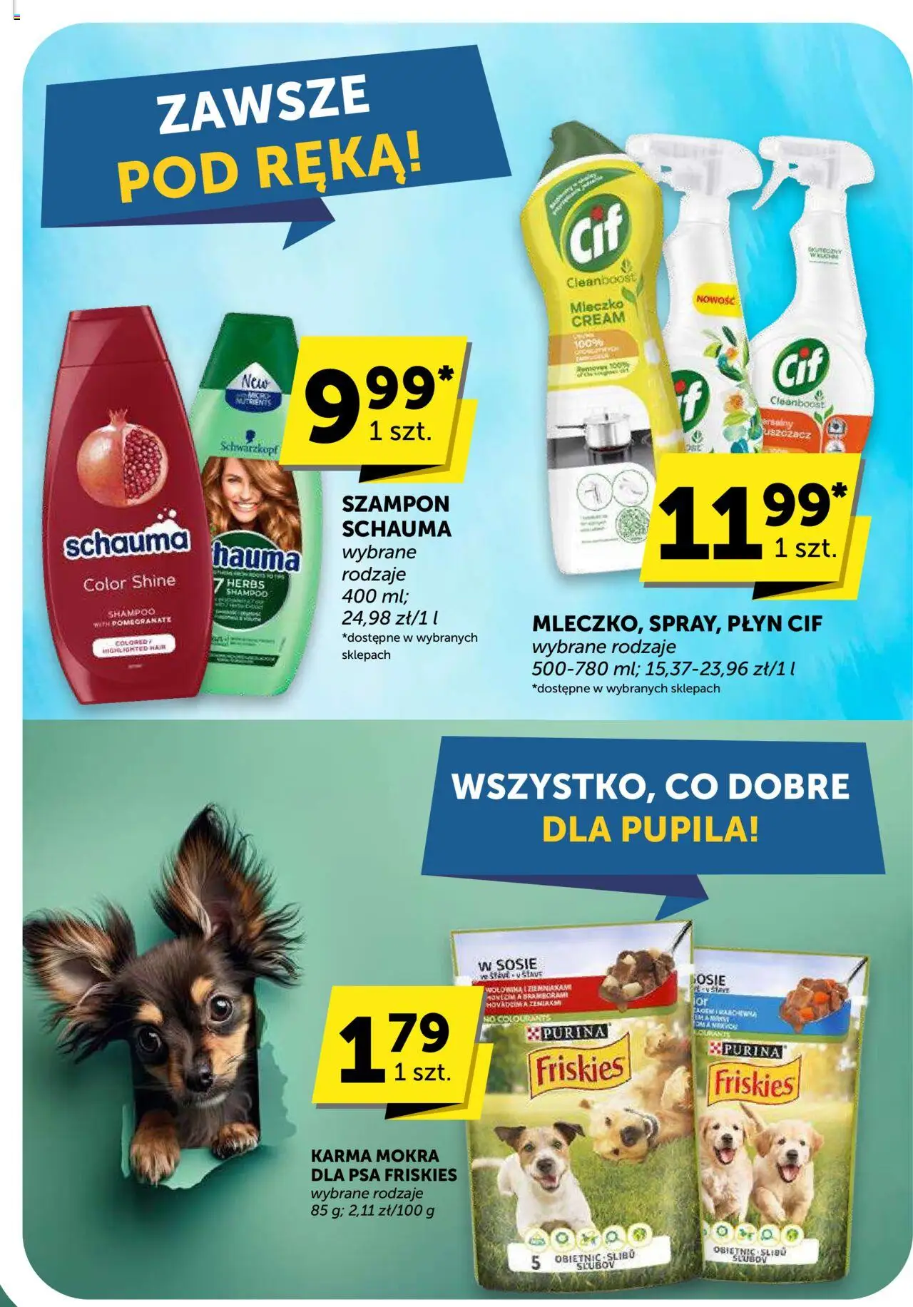 Euro Sklep Gazetka - Market od 02.10.2025 | Strona: 41 | Produkty: Szampon, Wołowina
