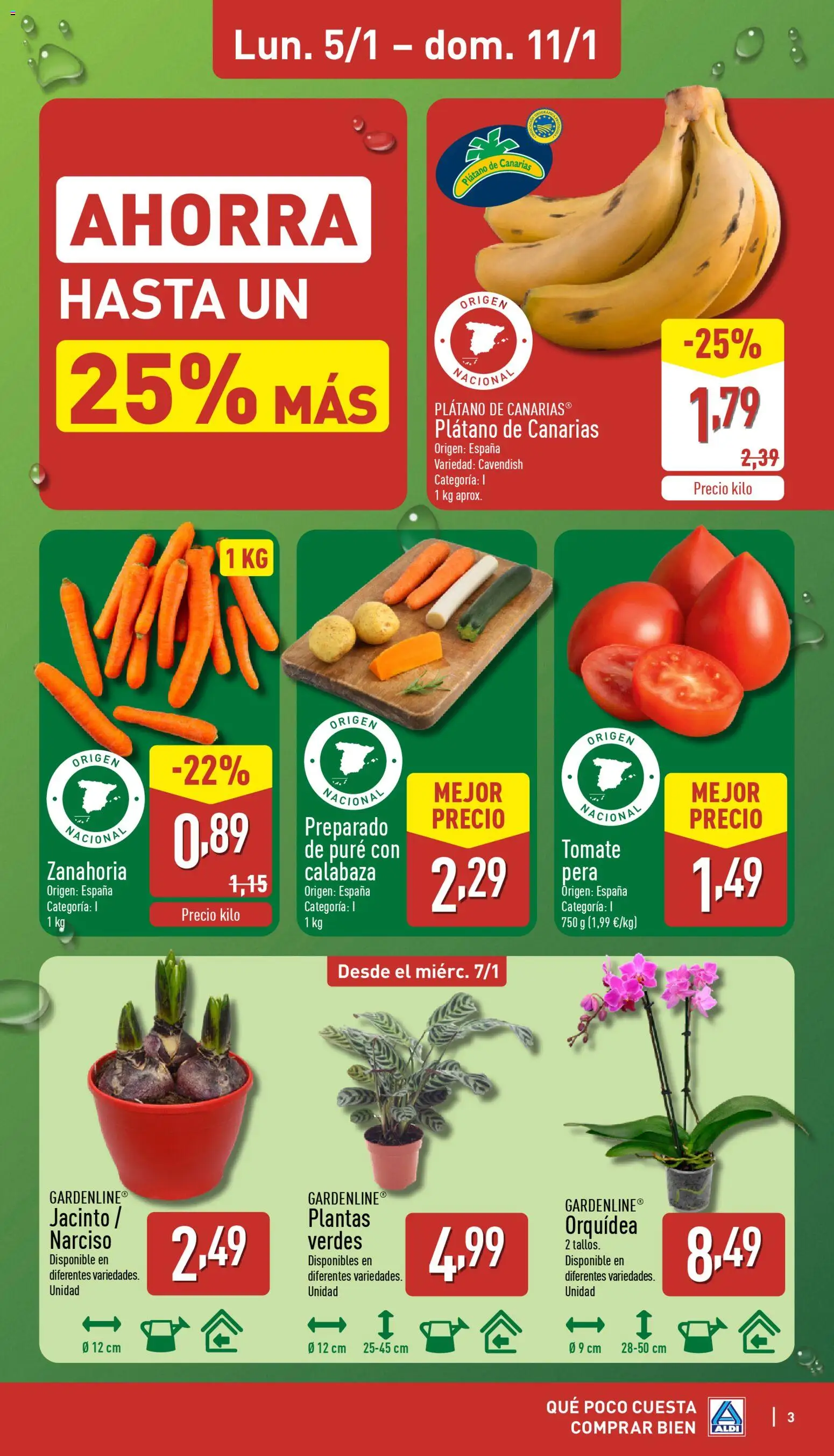 Aldi folleto Península │ válido desde el 05.01.2026 | Página: 3 | Productos: Πράσινο τσάι, Zanahoria