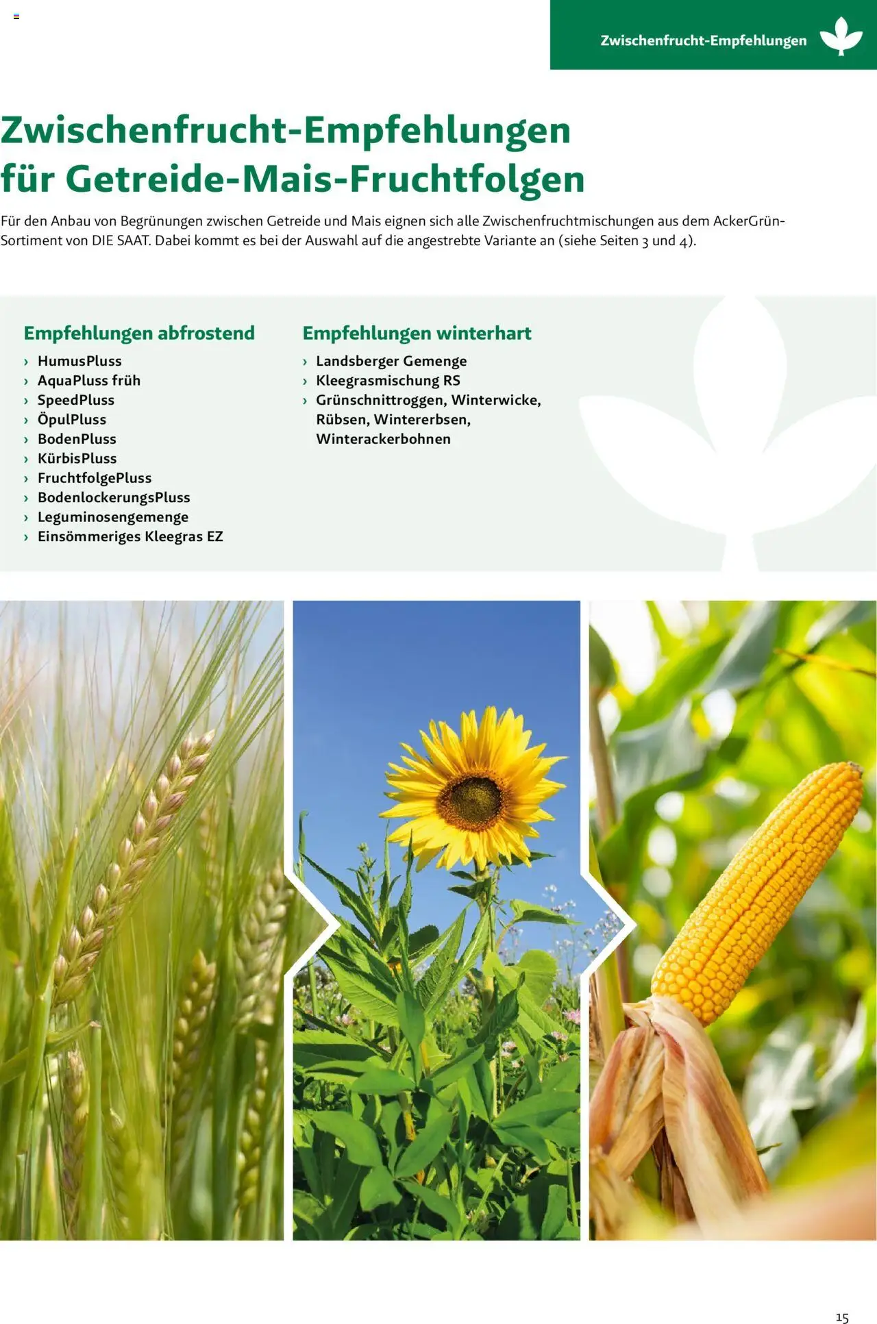 Lagerhaus Fachblatt Zwischenfrüchte & Begrünungen gültig ab 27.03.2025 | Seite: 15 | Produkte: Getreide
