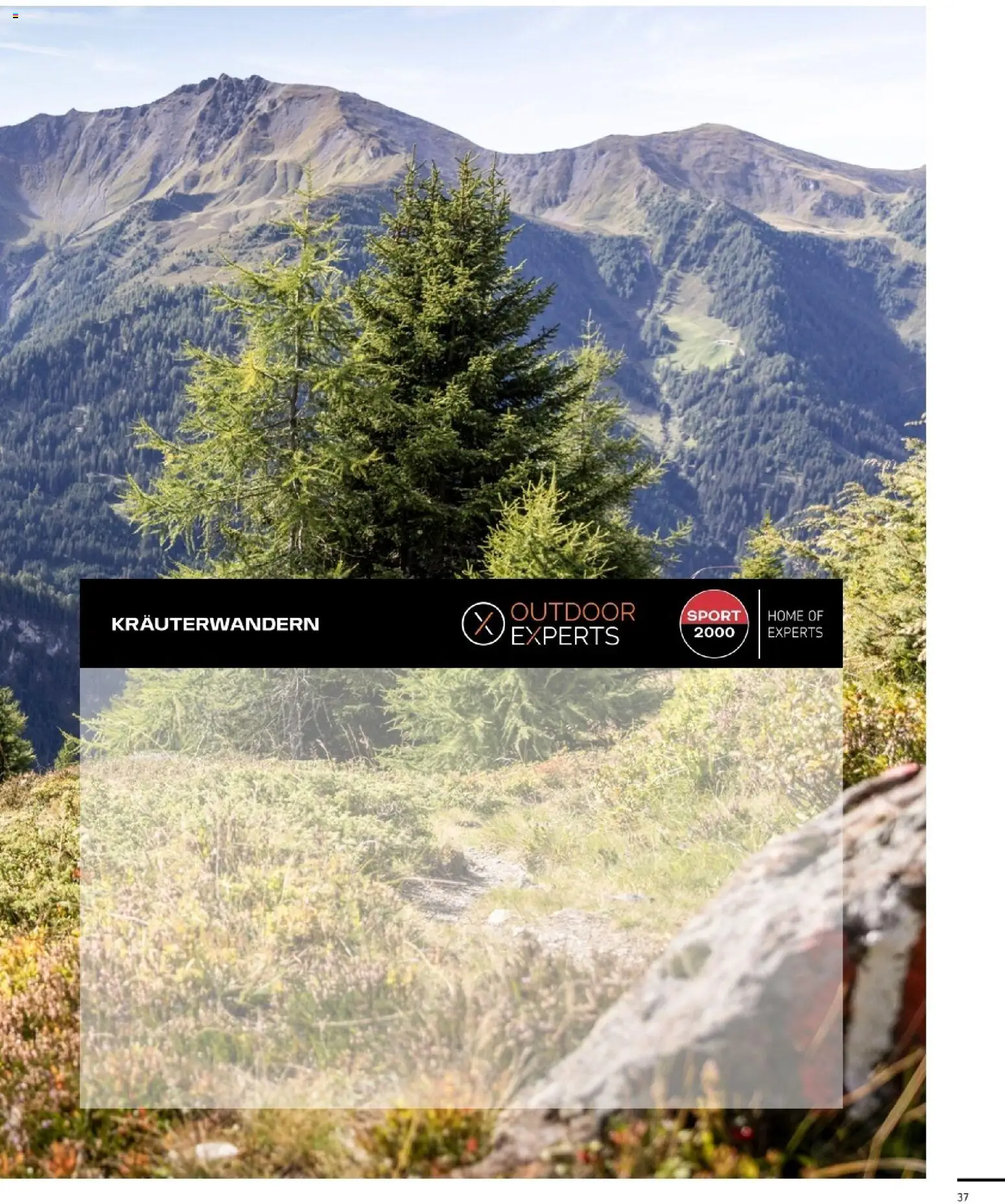 Sport2000 Prospekt Frühjahr 2026 – gültig ab 12.04.2026 | Seite: 37