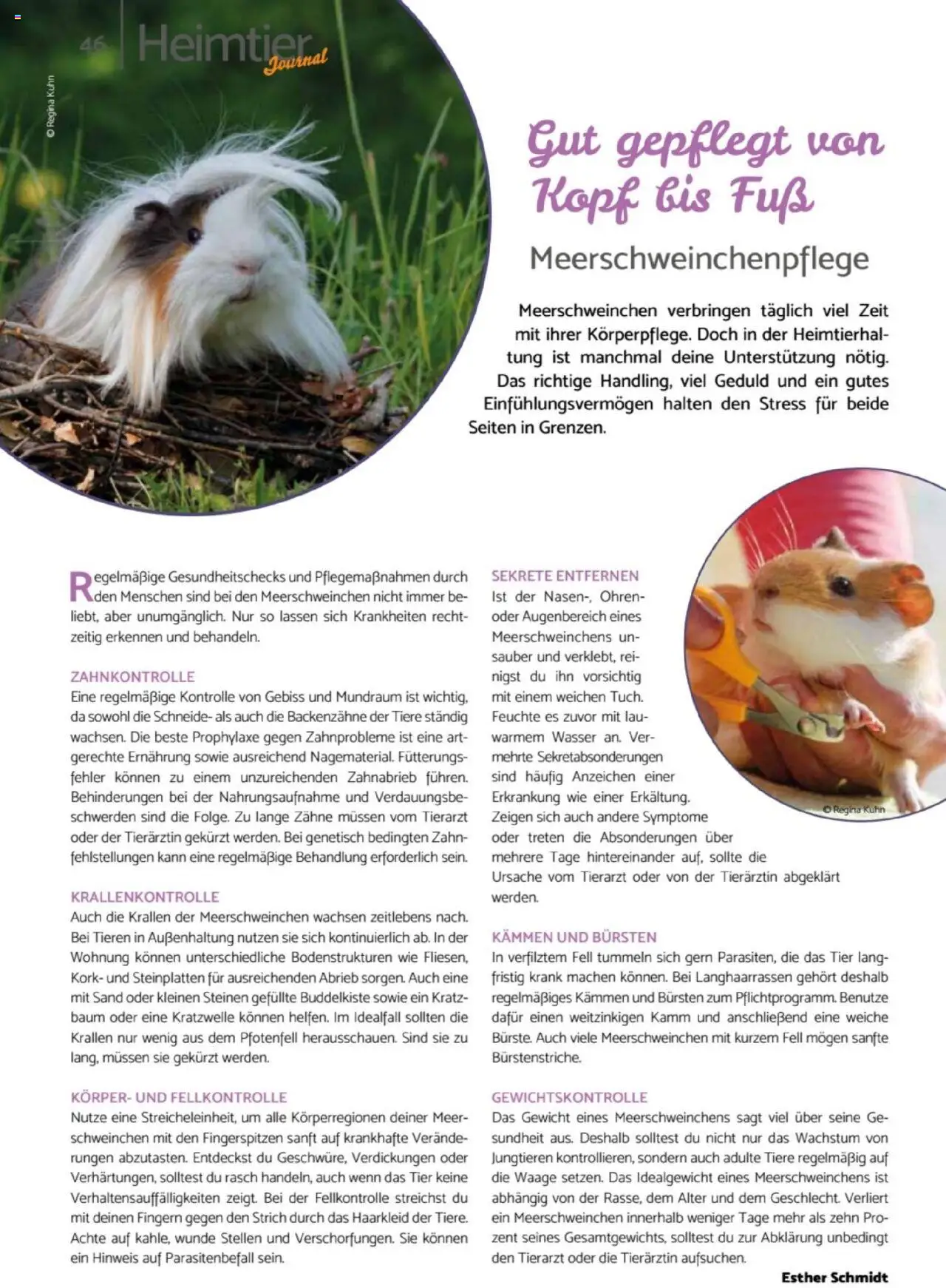 zookauf Heimtier Journal – gültig ab 01.10.2025 | Seite: 46 | Produkte: Gewicht, Wasser