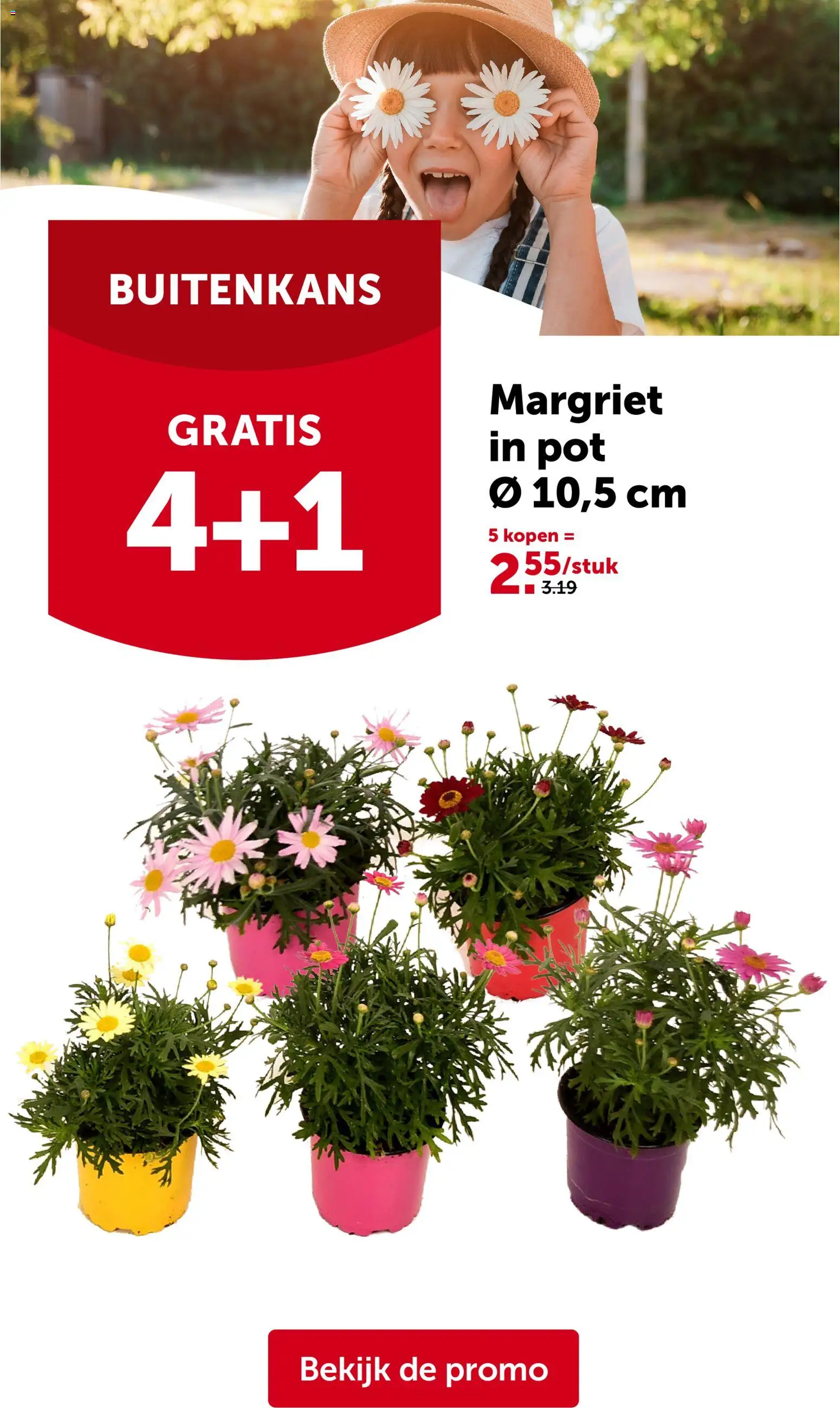 {H1} | Pagina: 10 | Producten: Pot