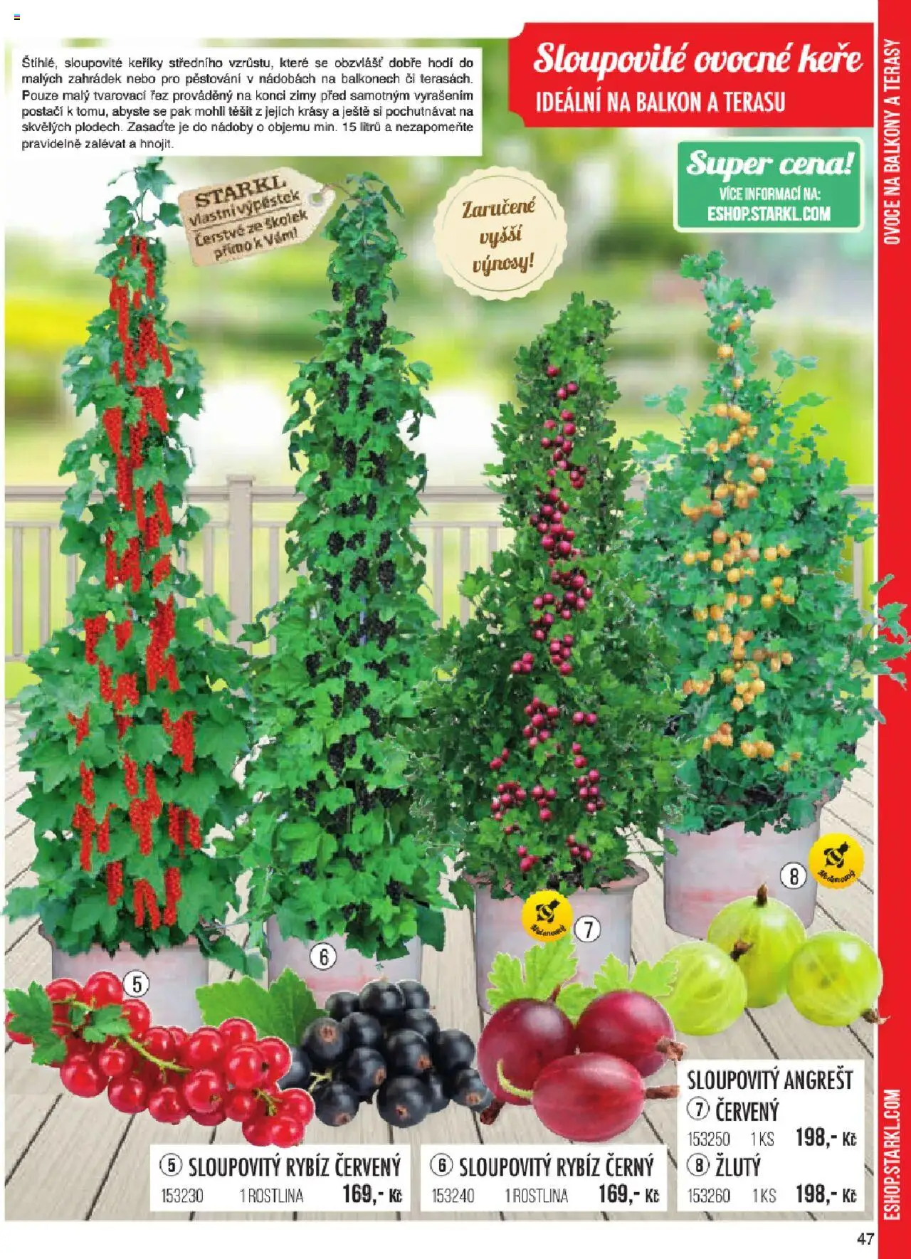Starkl katalog jaro 2024 od 06.01.2025 | Strana: 47 | Produkty: Ovoce