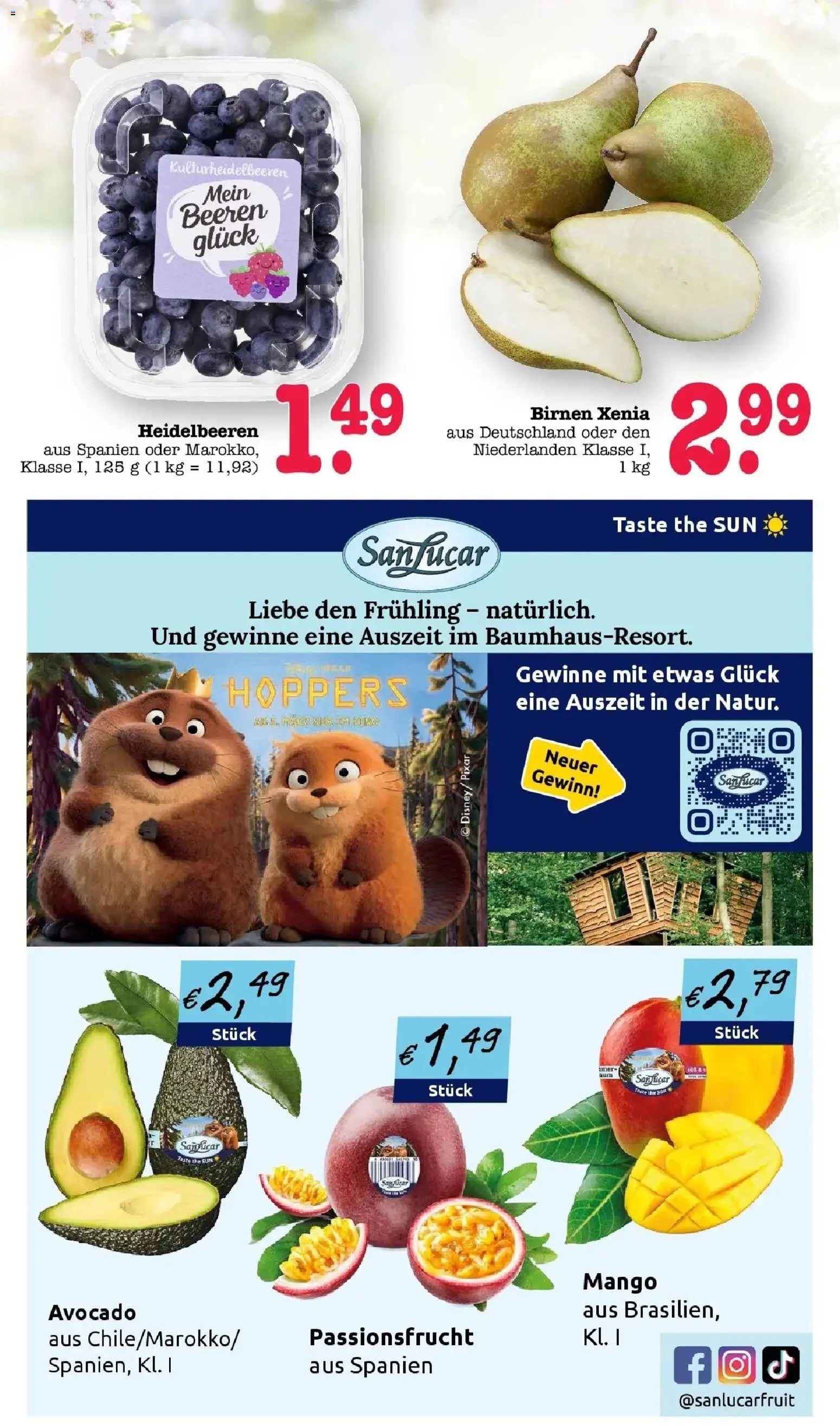 E center Prospekt Mannheim-Wohlgelegen	 – gültig ab 23.03.2026 | Seite: 19 | Produkte: Heidelbeeren, Avocado, Mango