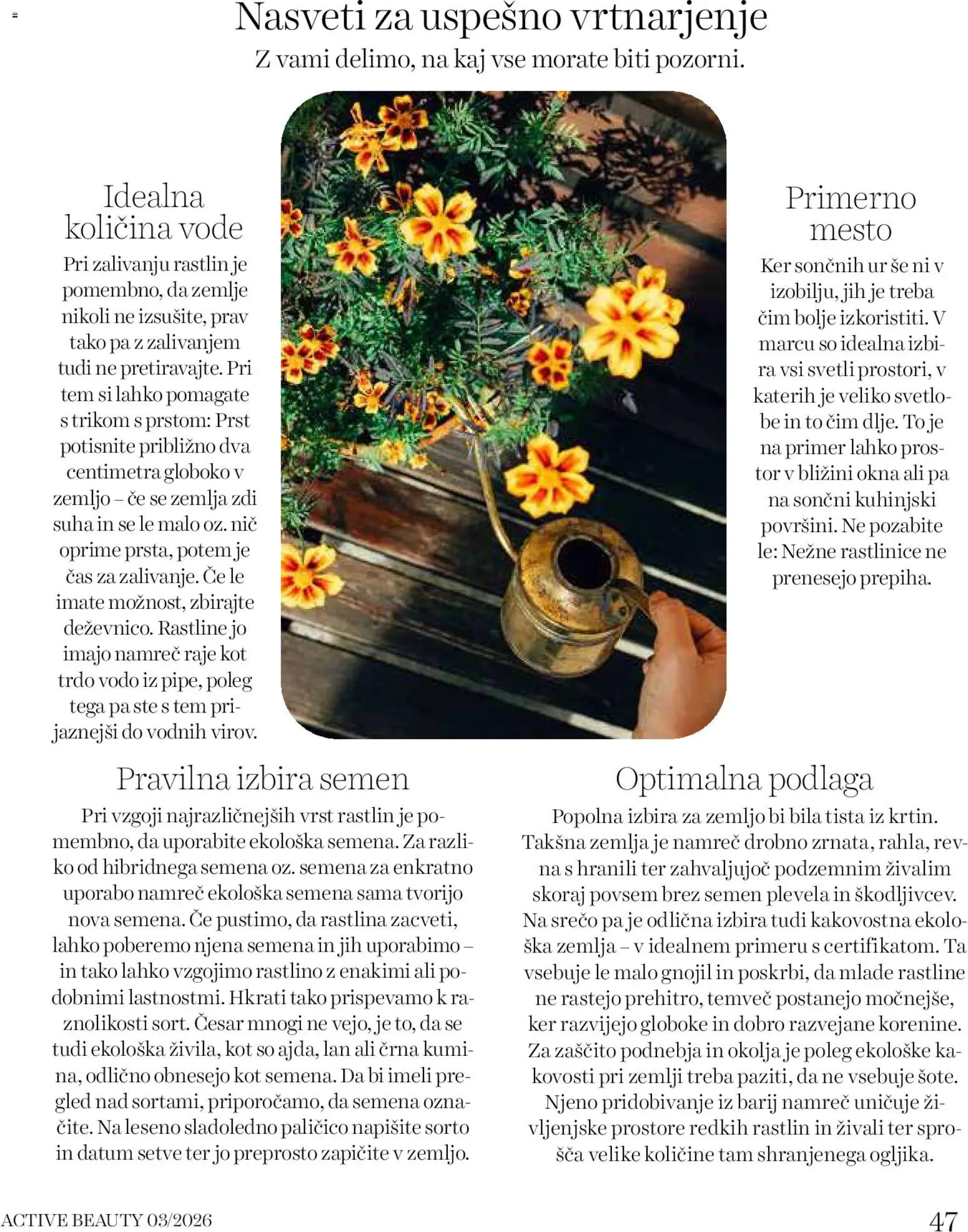 Novi DM Drogerie Markt katalog ponudbe – veljaven od 01.03.2026 | Stran: 47 | Izdelki: Žemlja