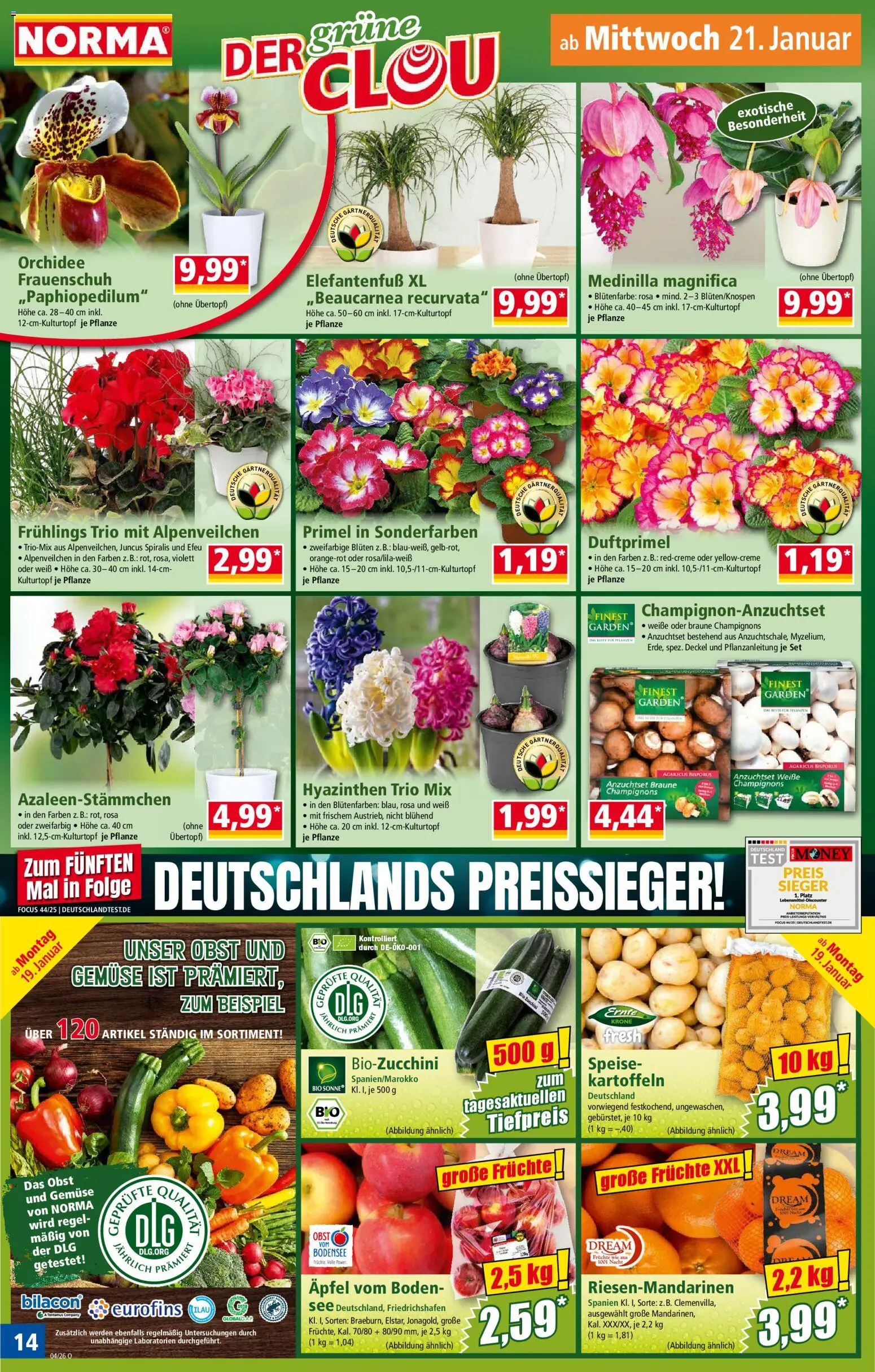 Norma Prospekt 	 – gültig ab 19.01.2026 | Seite: 14 | Produkte: Äpfel, Champignons, Gemüse, Obst