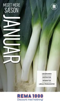 Rema 1000 - Meget mere sæson - januar gyldig fra 01.01.2026