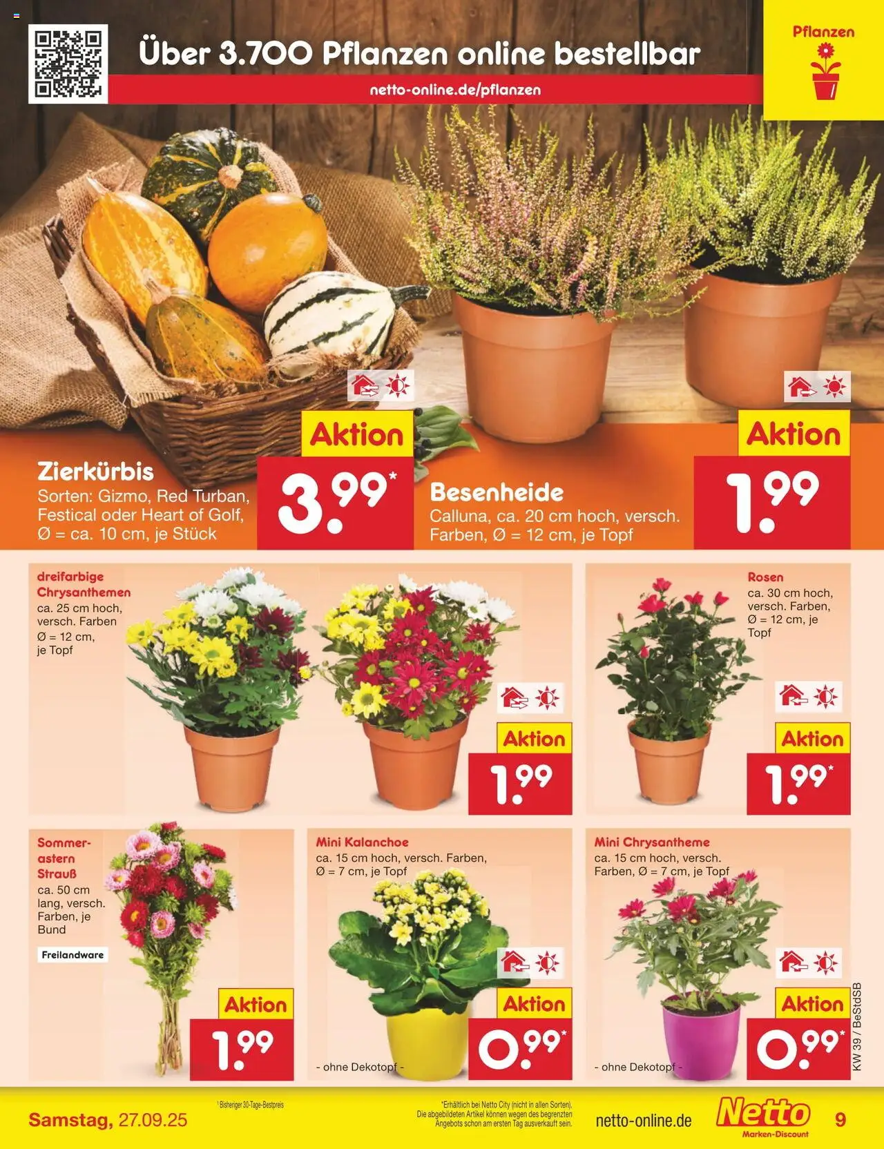 Netto Marken-Discount Prospekt 	 – gültig ab 22.09.2025 | Seite: 9