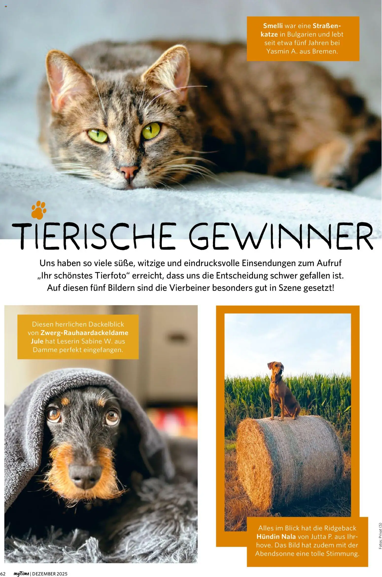 Famila Nordwest  myTime Dezember 2025 – gültig ab 01.12.2025 | Seite: 62