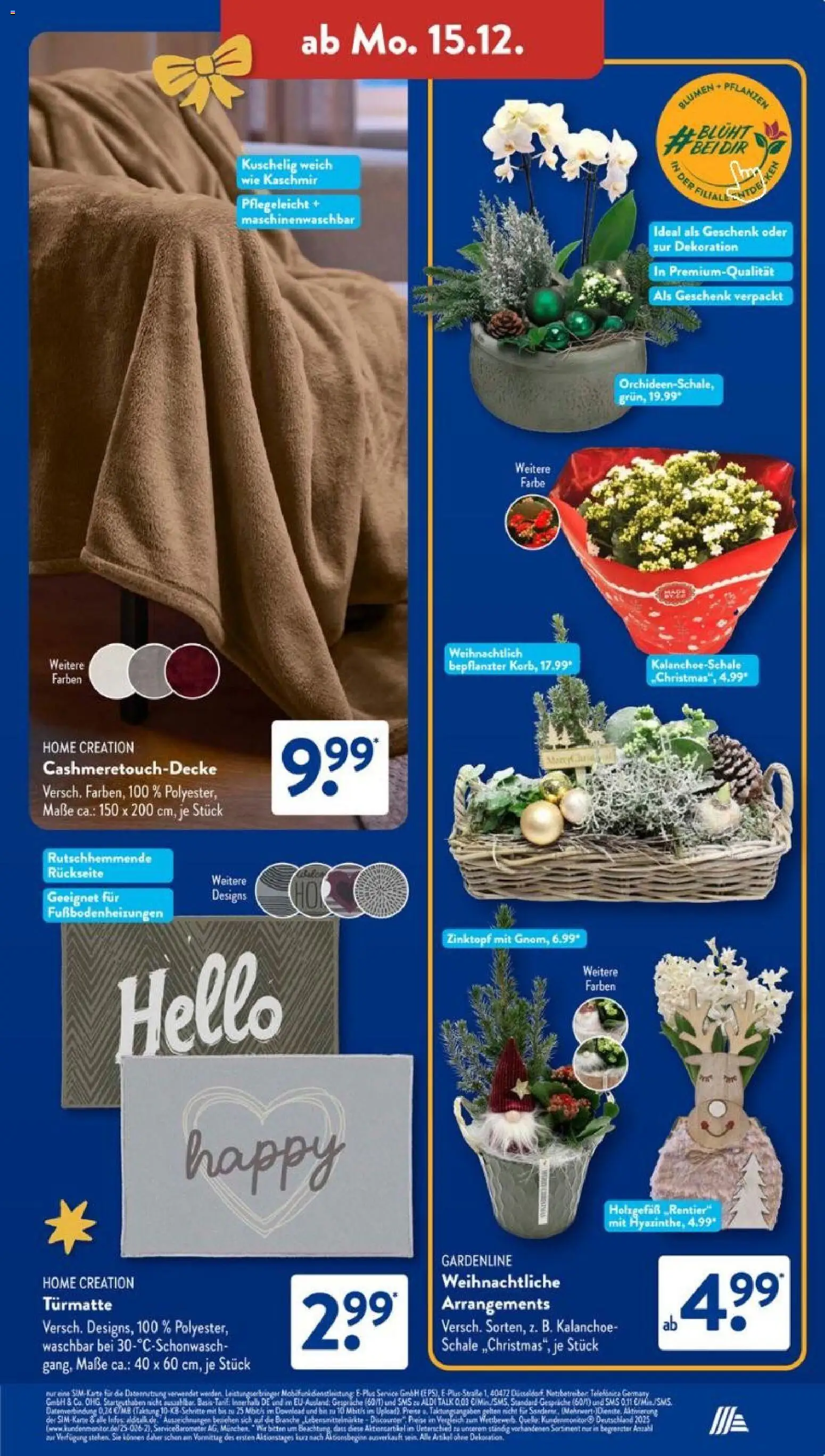Aldi Süd Prospekt 	 – gültig ab 15.12.2025 | Seite: 3 | Produkte: Blumen, Home creation