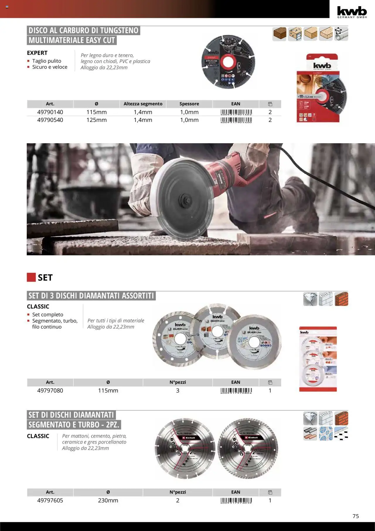 Volantino Einhell del 10.10.2025 | Pagina: 77 | Prodotti: Disco