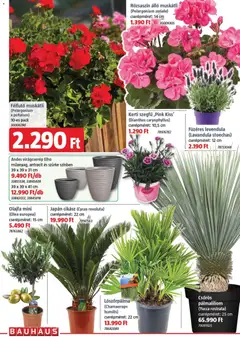 Bauhaus akciós újság - amely érvényes a következő dátumtól: 02.04.2026 | Oldal: 2