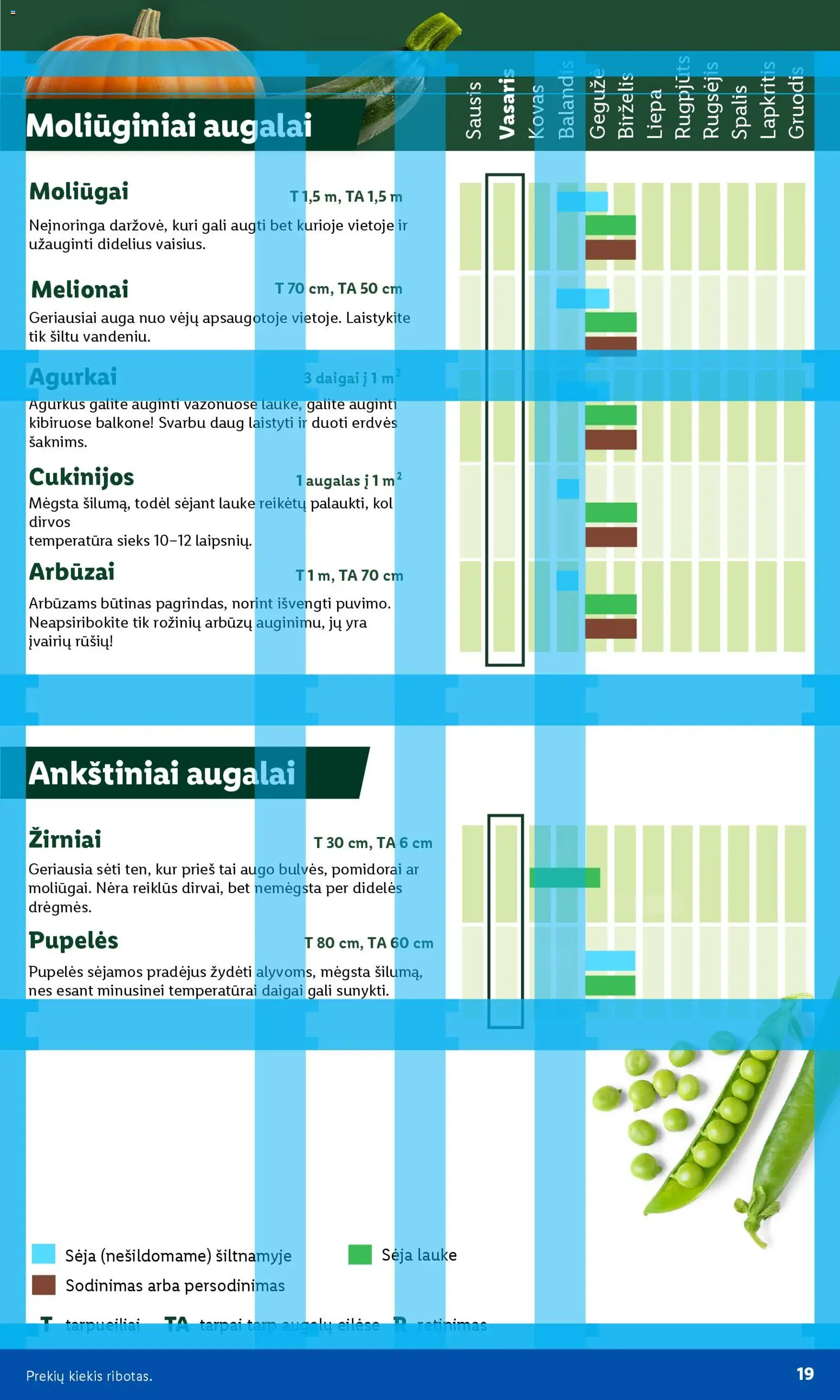 LIDL akcijos nuo 16.02.2026 | Puslapis: 7 | Prekių: Agurkai, Pupelės, Pomidorai