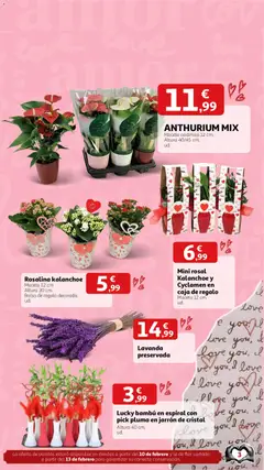 Vista previa Alcampo - San Valentín válido desde el 02.02.2026 | Página: 3