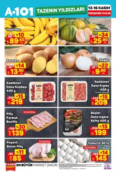 13.11.2025 tarihinden itibaren geçerli olan A101 kataloğu önizlemesi