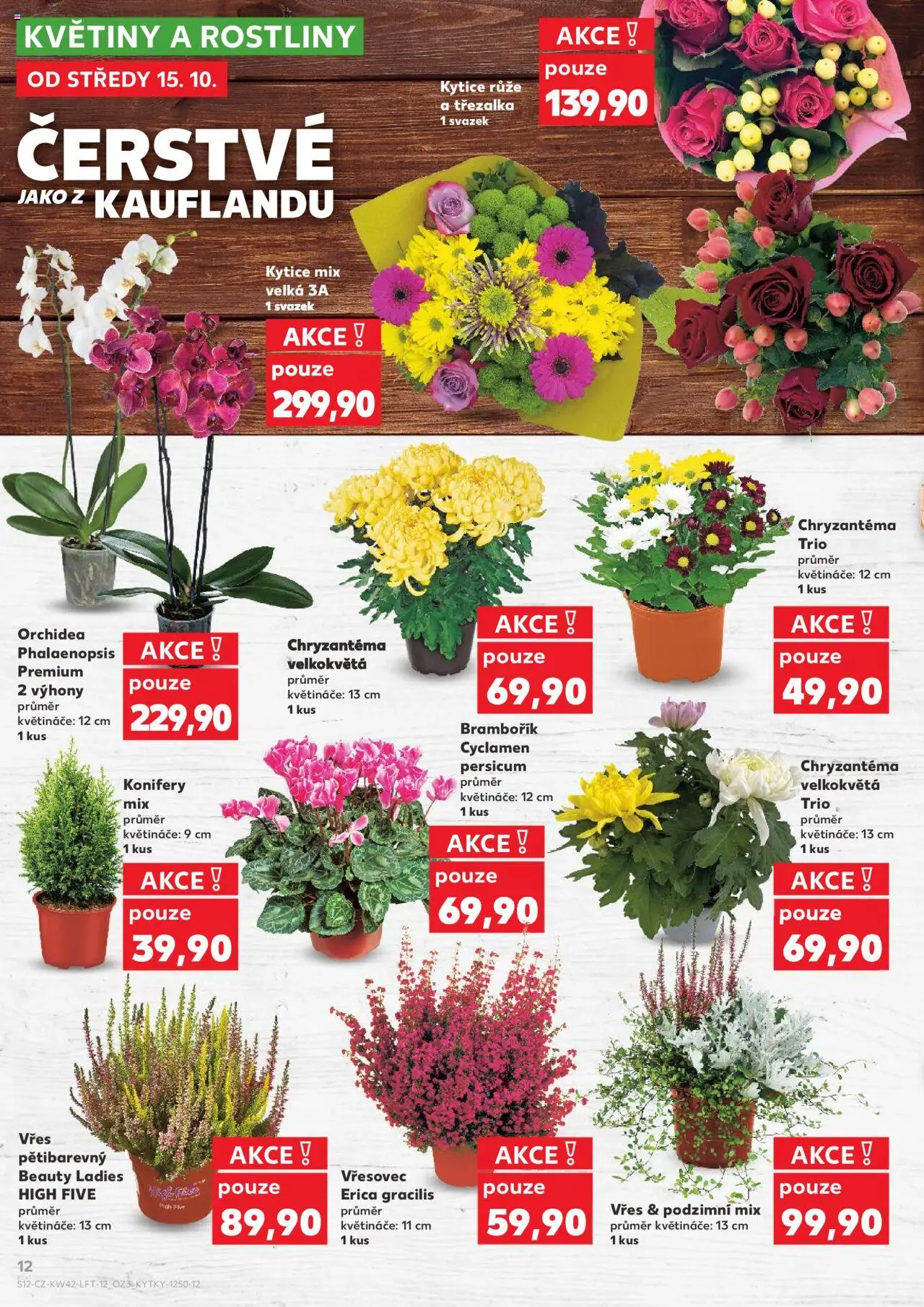 Kaufland leták - Chomutov od 15.10.2025 | Strana: 12 | Produkty: Květináče, Rostliny, Kytice, Květiny