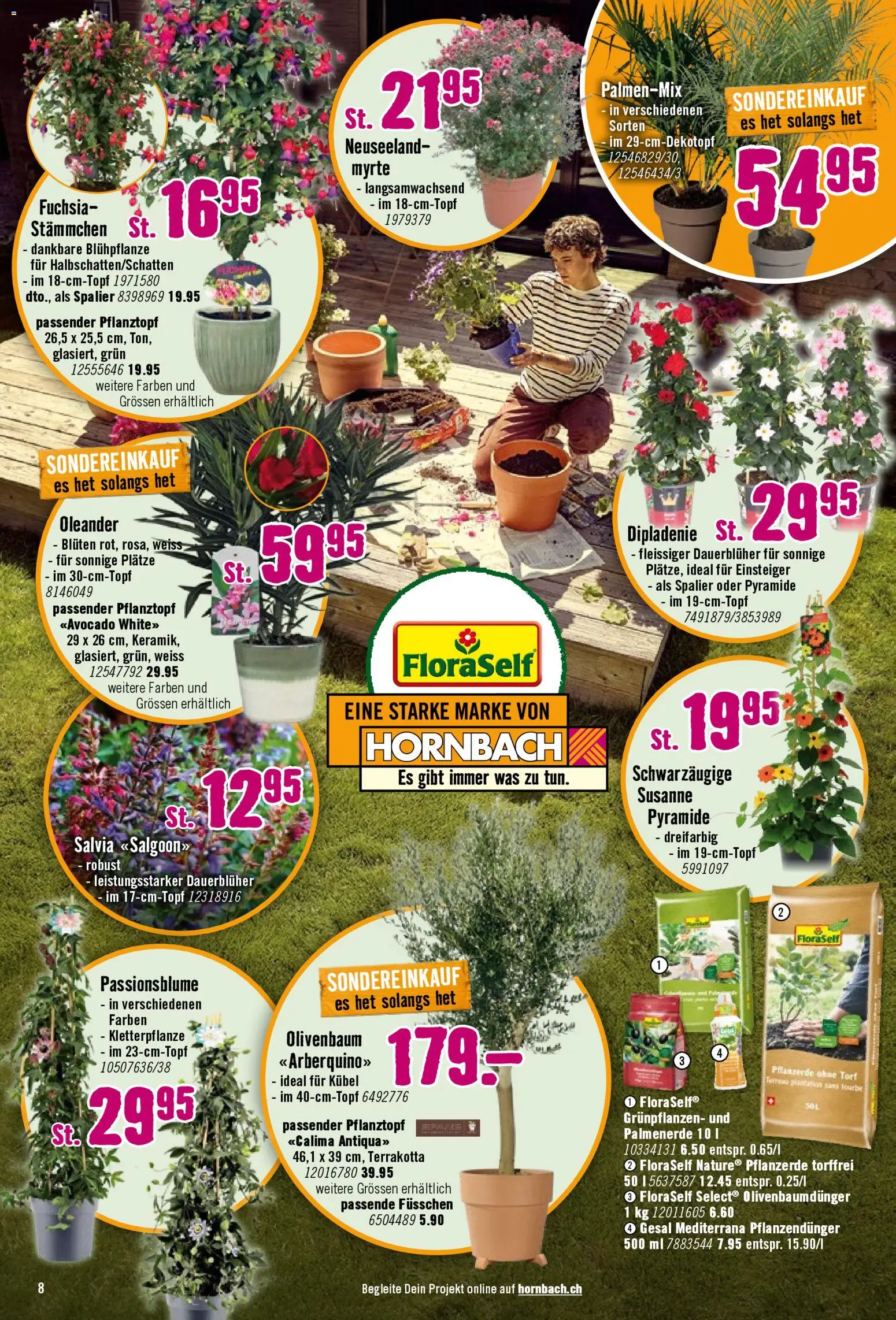 Hornbach aktionen – gültig ab 28.04.2026 | Seite: 8 | Produkte: Avocado