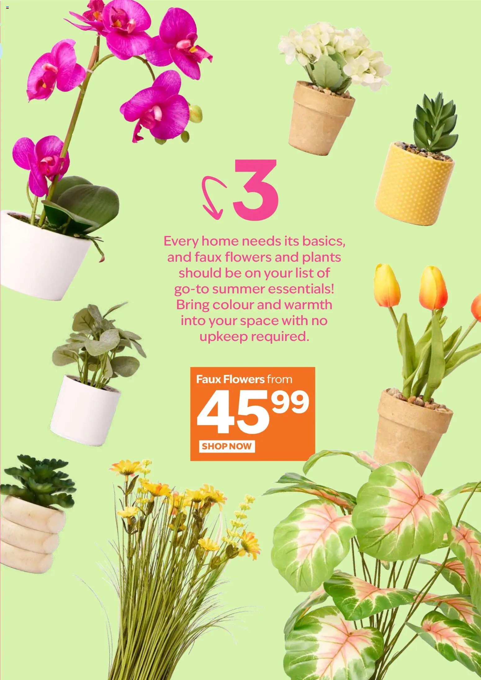 New Sheet Street catalogue – valid from 24.10.2025 | Page: 7