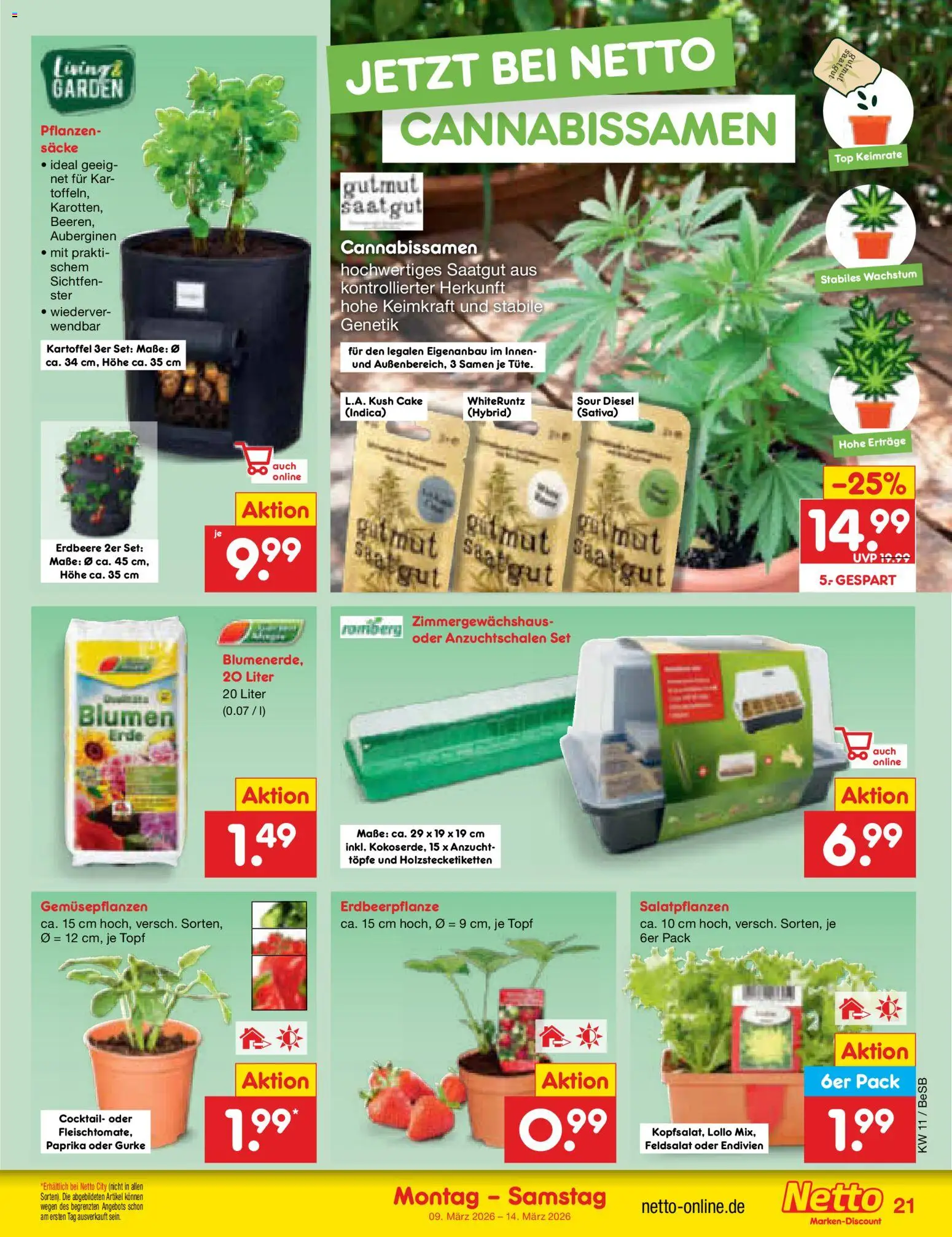 Netto Marken-Discount Prospekt 	 – gültig ab 09.03.2026 | Seite: 31 | Produkte: Top, Blumen, Paprika