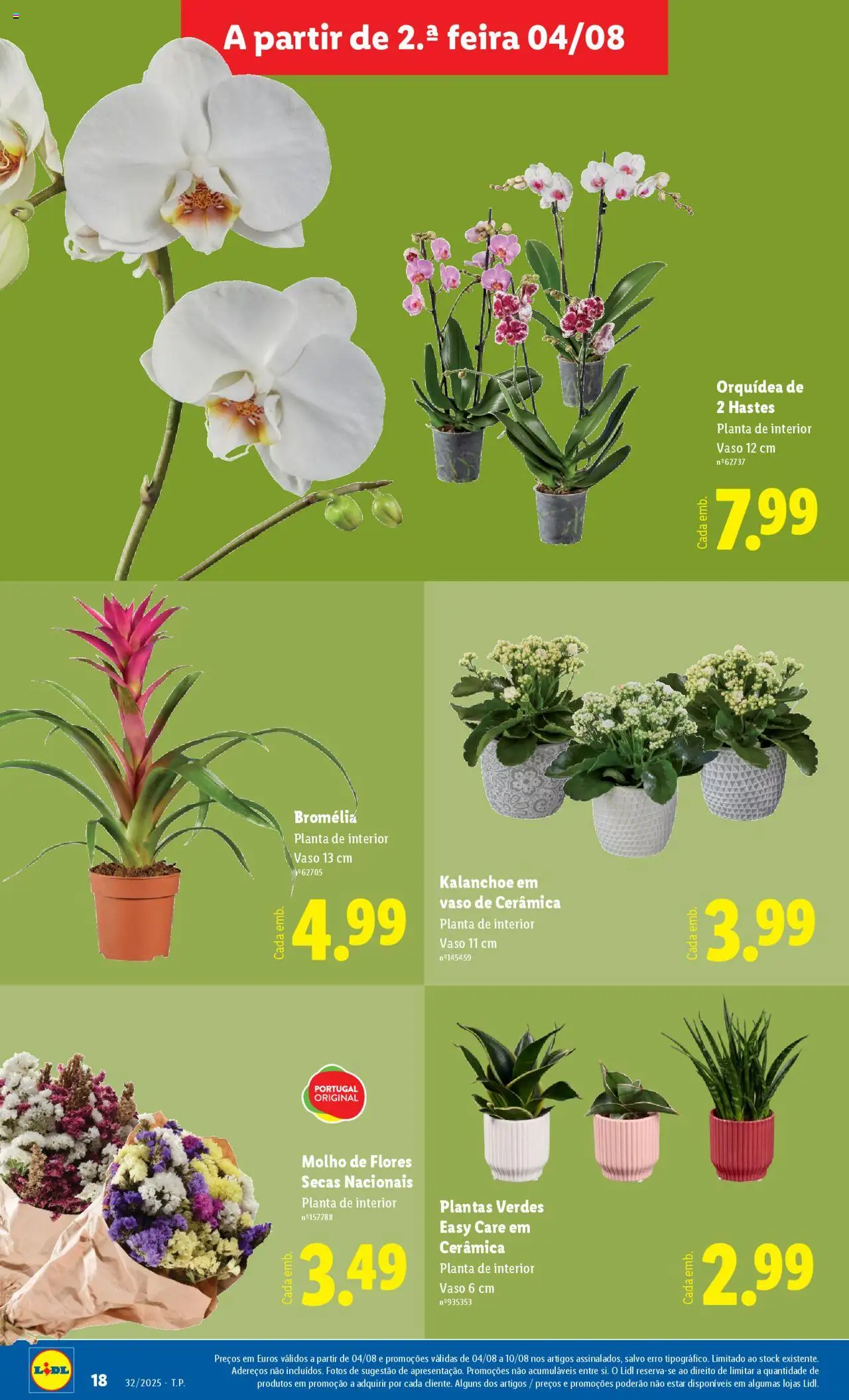 Lidl Novidades │ válido de 04.08.2025 | Página: 18 | Produtos: Flores, Vaso