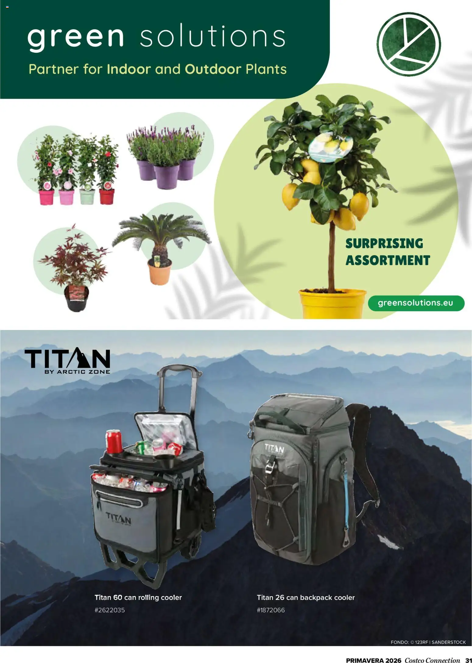 Costco catálogo │ válido desde el 19.03.2026 | Página: 31