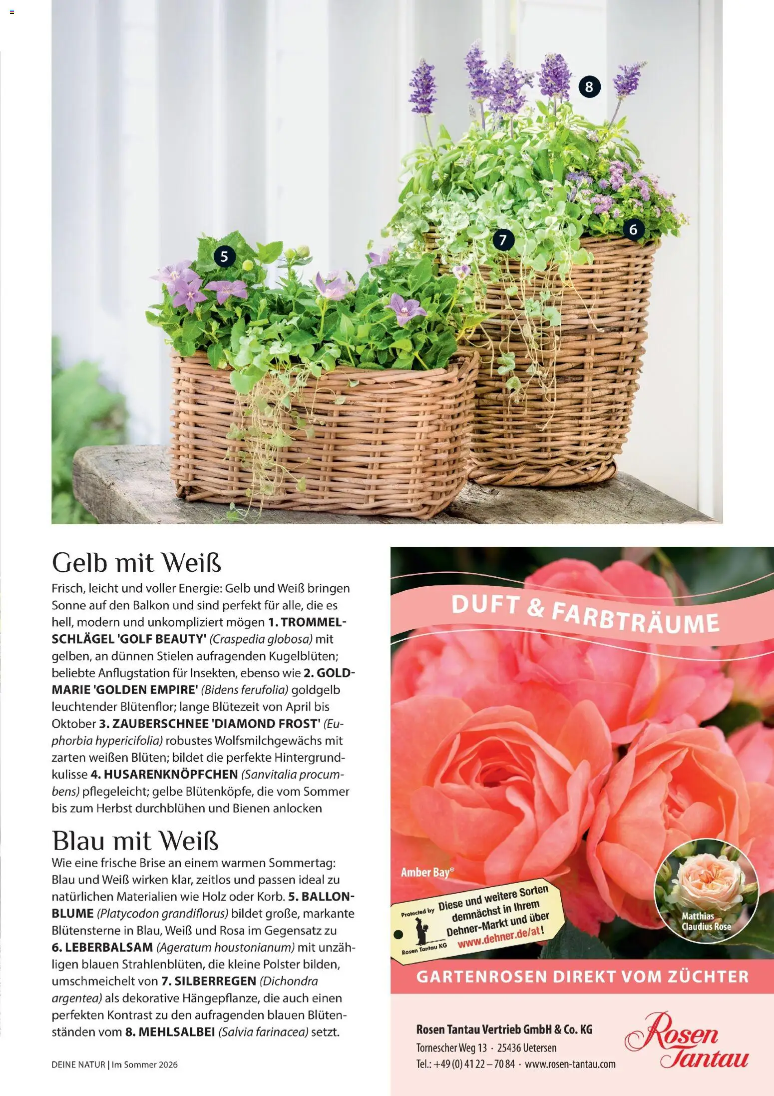 Dehner Prospekt 	 – gültig ab 17.04.2026 | Seite: 23 | Produkte: Duft