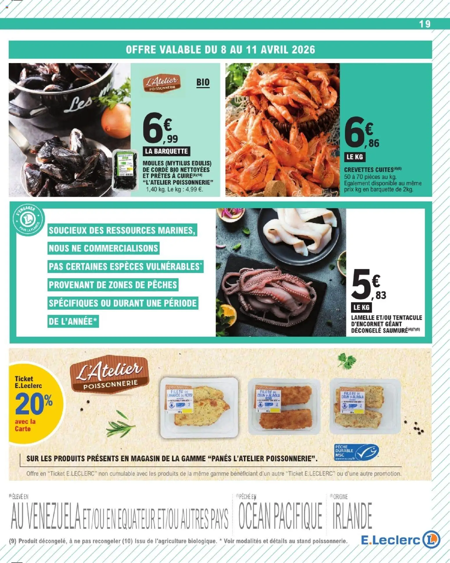 {H1} | Page: 19 | Produits: Pêche, Poissonnerie, Crevettes