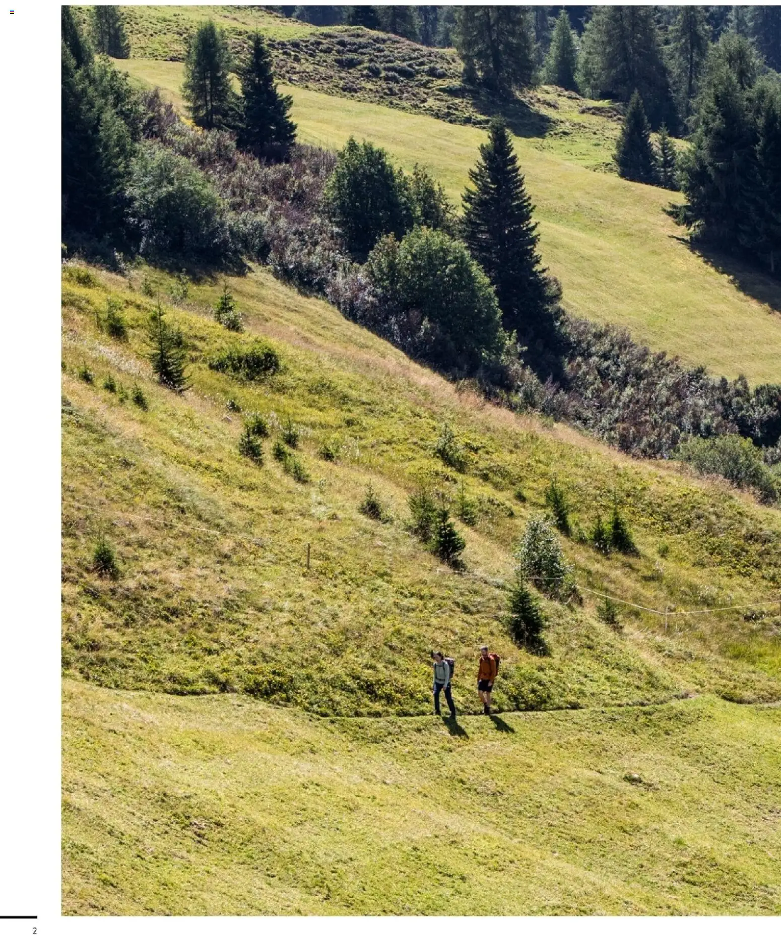 Sport2000 Prospekt Frühjahr 2026 – gültig ab 12.04.2026 | Seite: 2