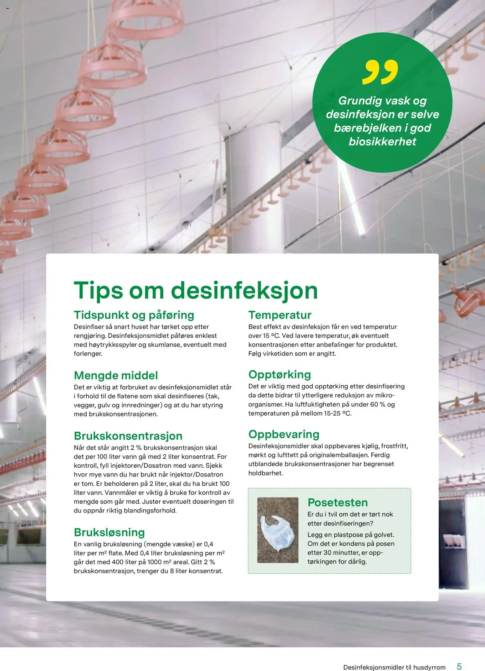 {H1} | Side: 5 | Produkter: Vask, Champagne, Вермішель