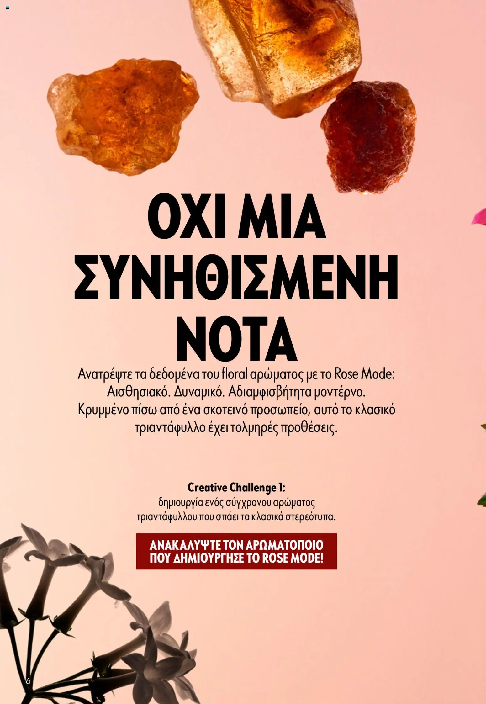 Oriflame φυλλαδιο – σε ισχύ από 22.04.2026 | Σελίδα: 6
